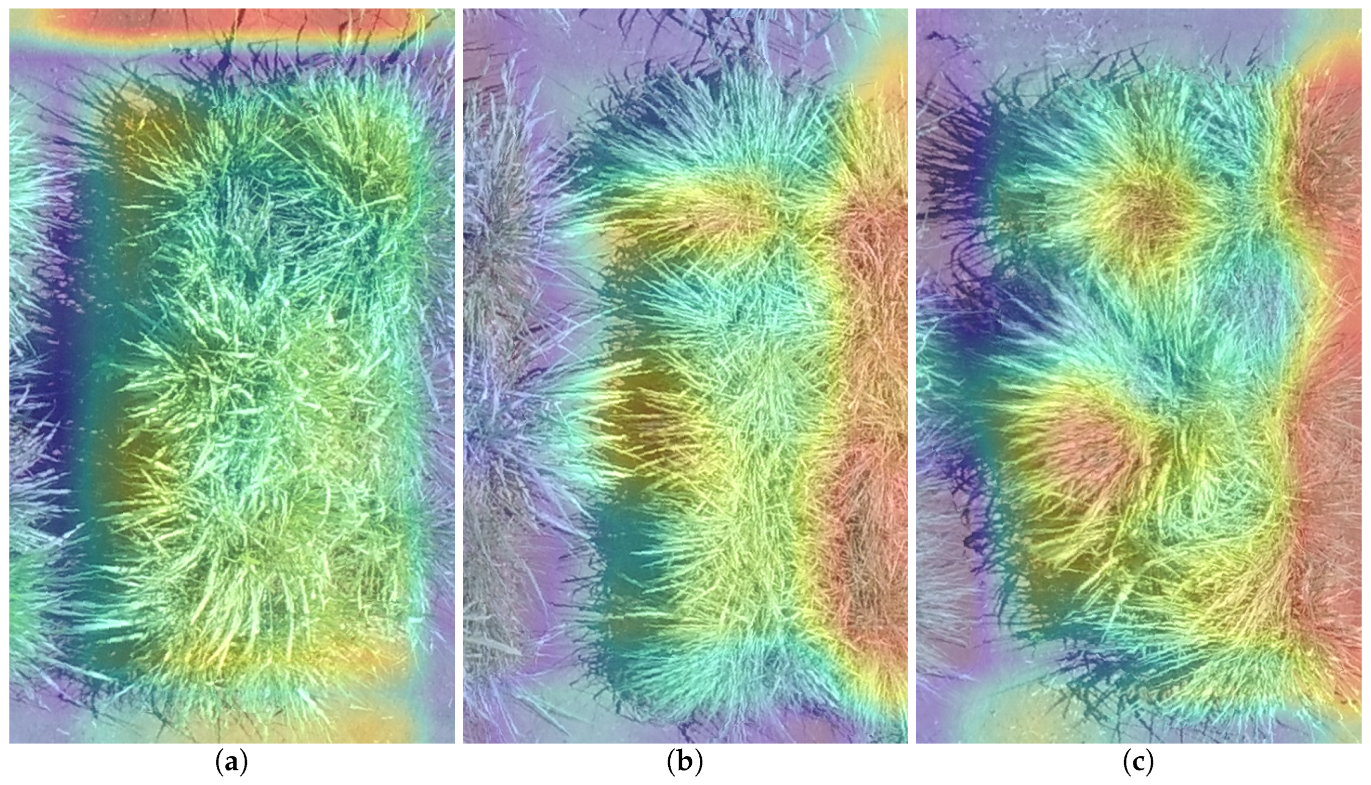 Sensors 20 04802 g009