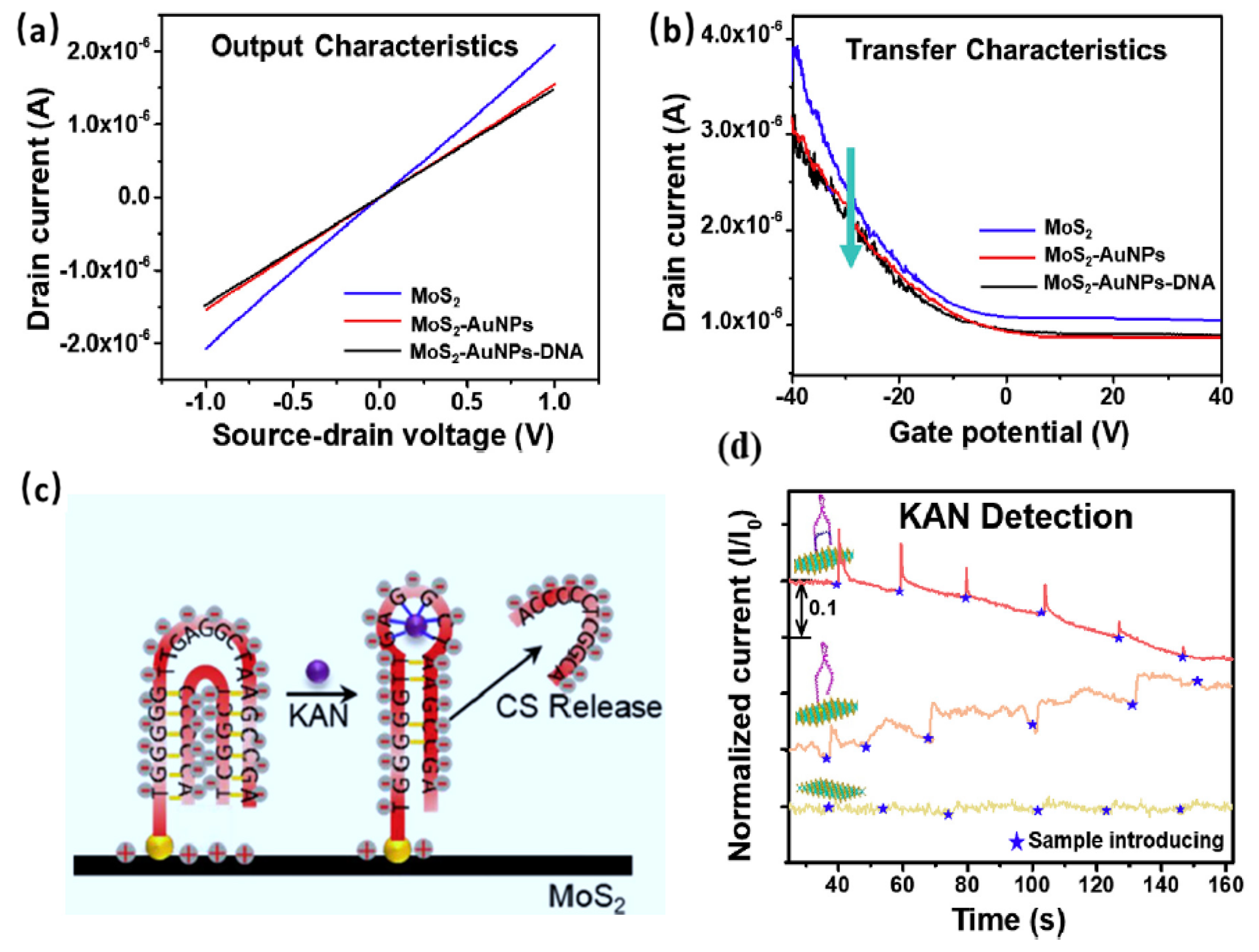 Sensors 20 04811 g004 Sensors 20 04811 g004