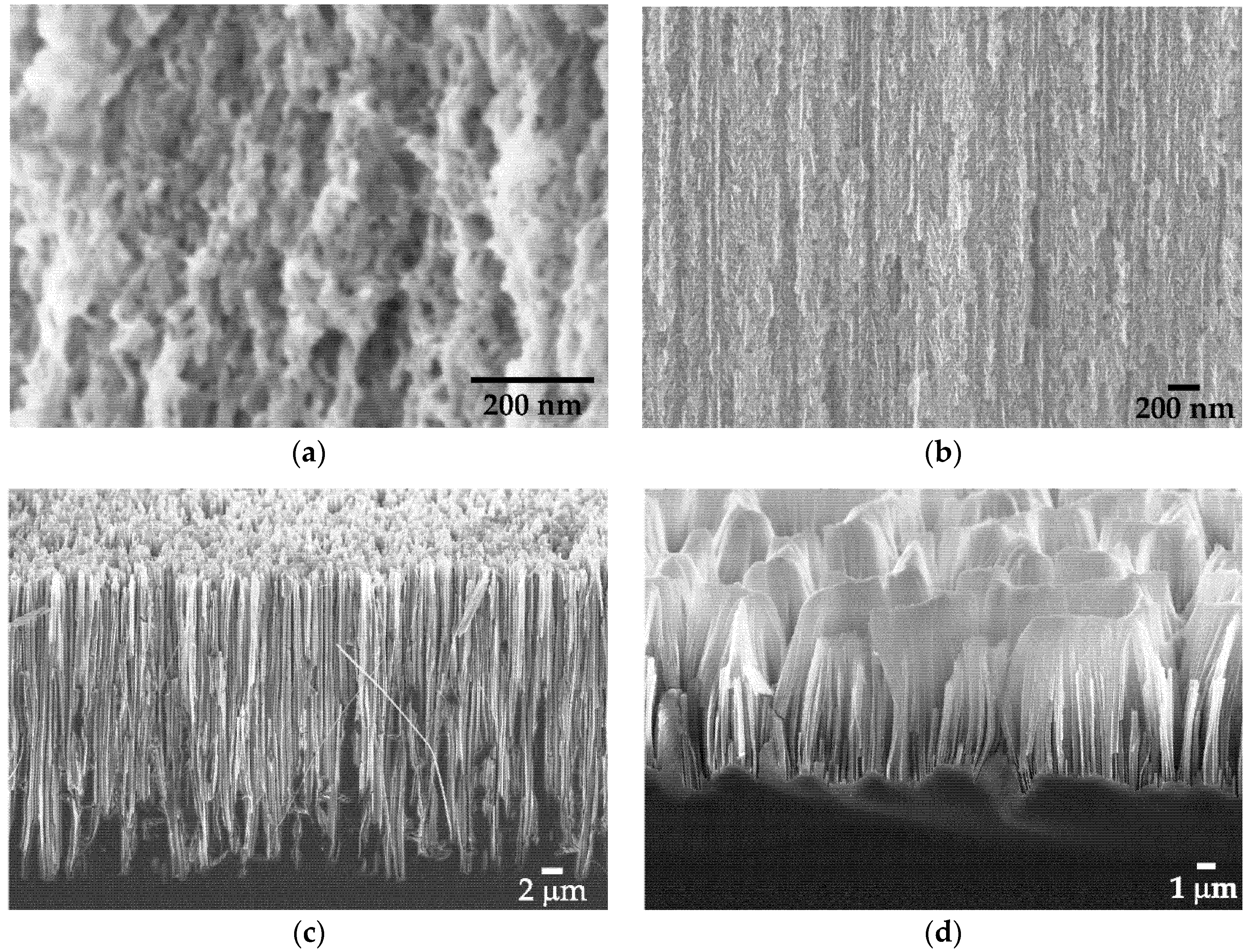 Sensors 20 04874 g002