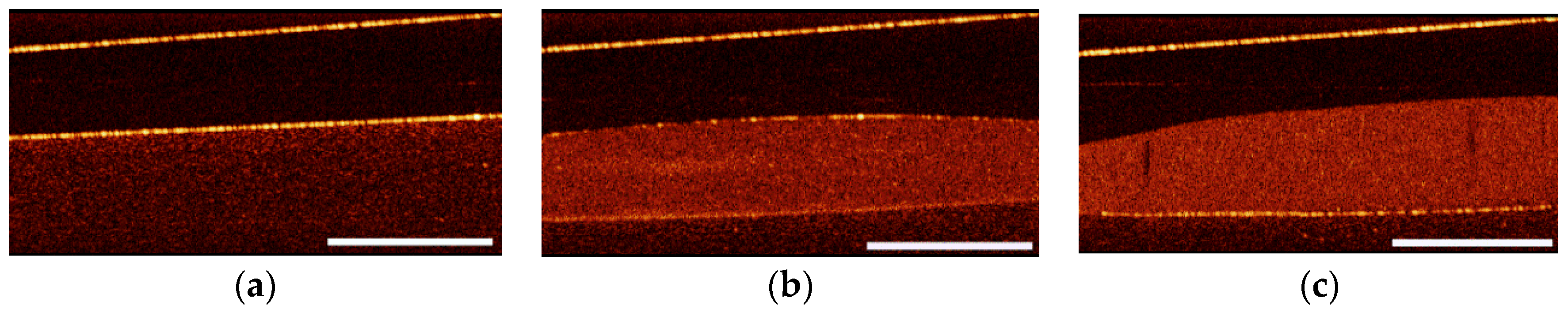 Sensors 20 04874 g006
