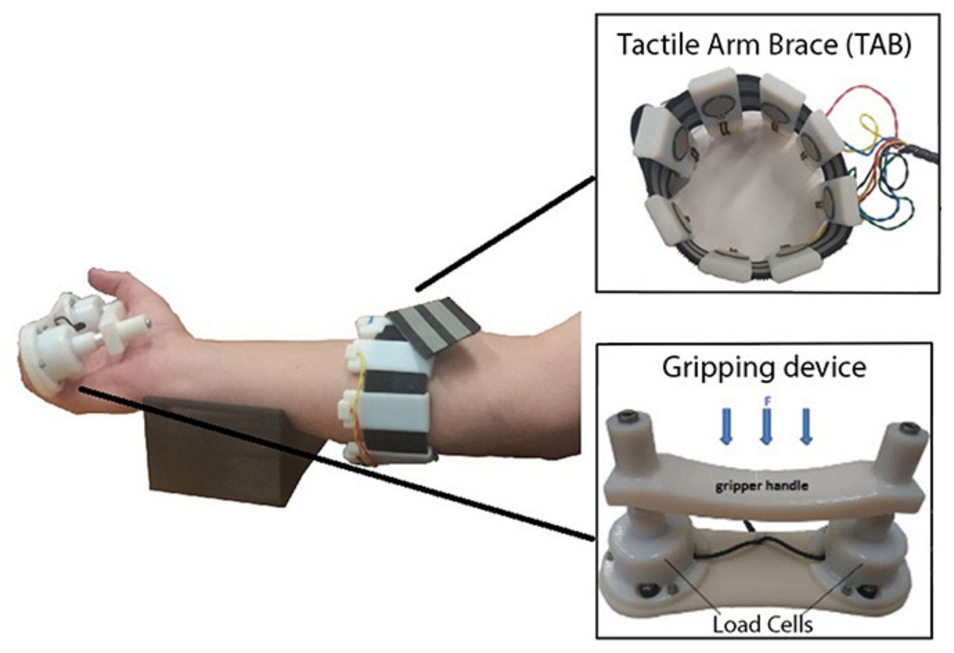 Sensors 20 04883 g006