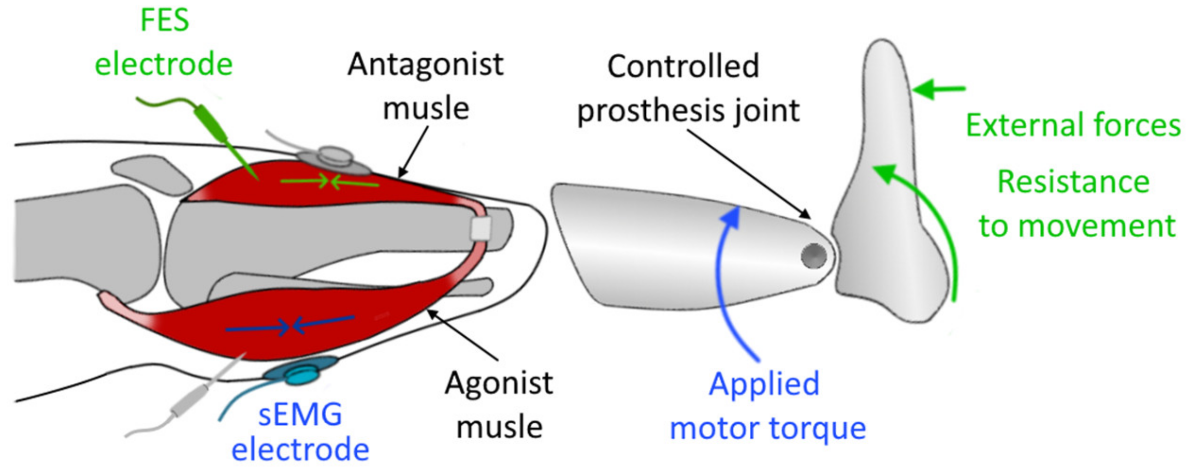 Sensors 20 04883 g011