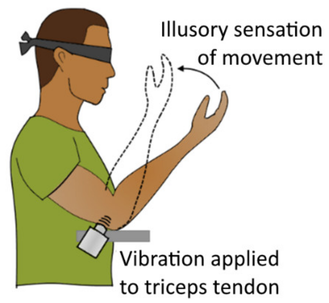 Sensors 20 04883 g012