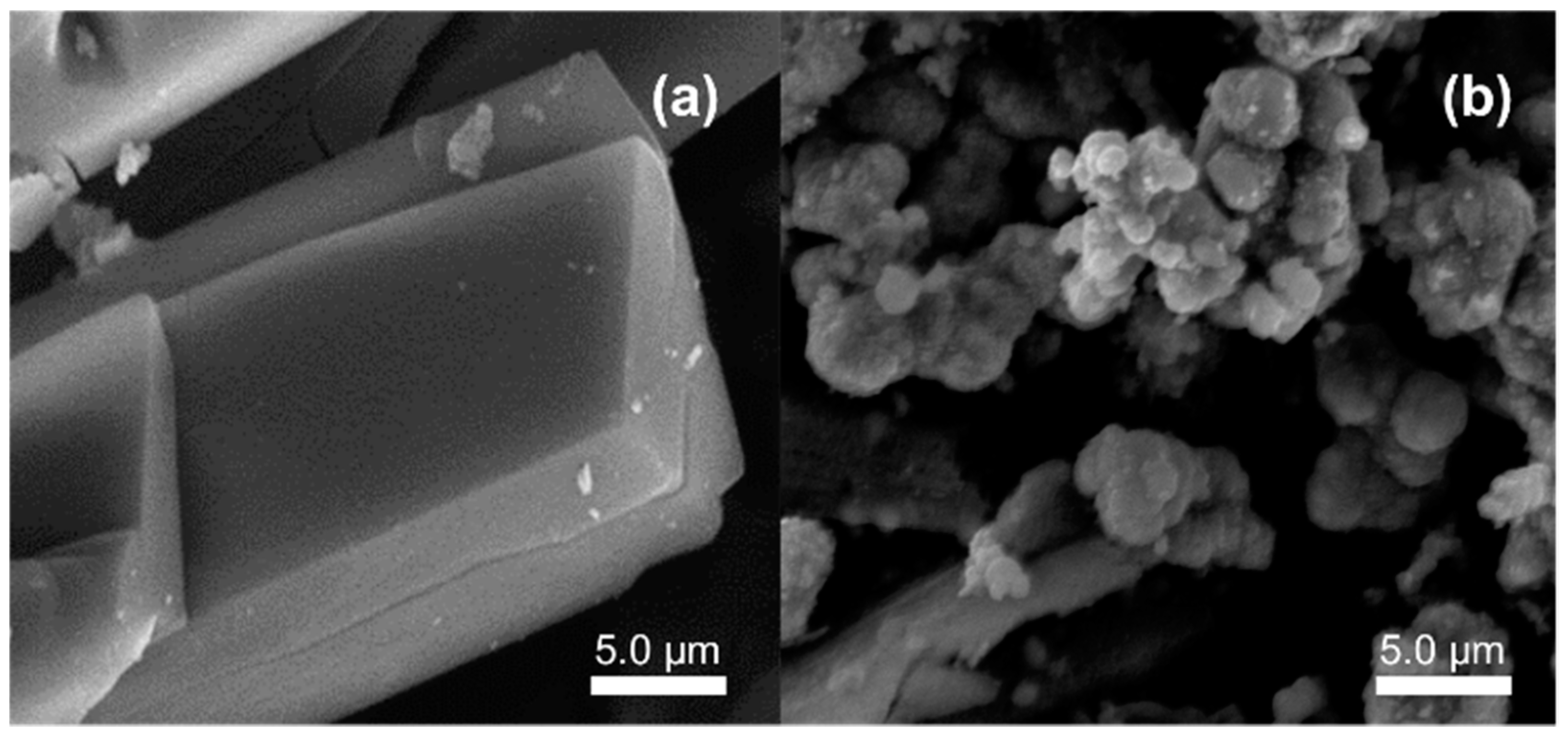 Sensors 20 04891 g004