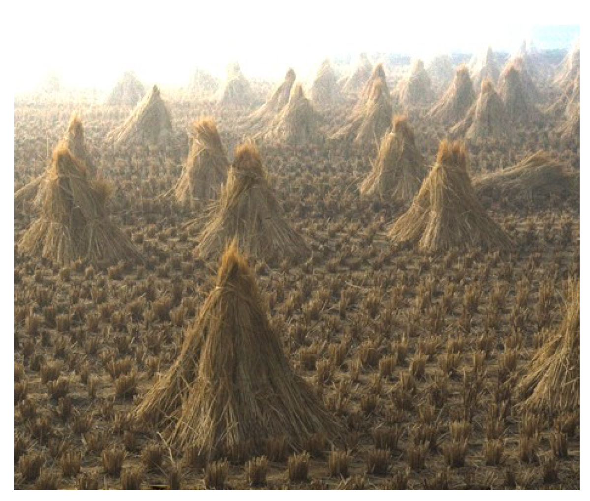 Sensors 20 04893 g004