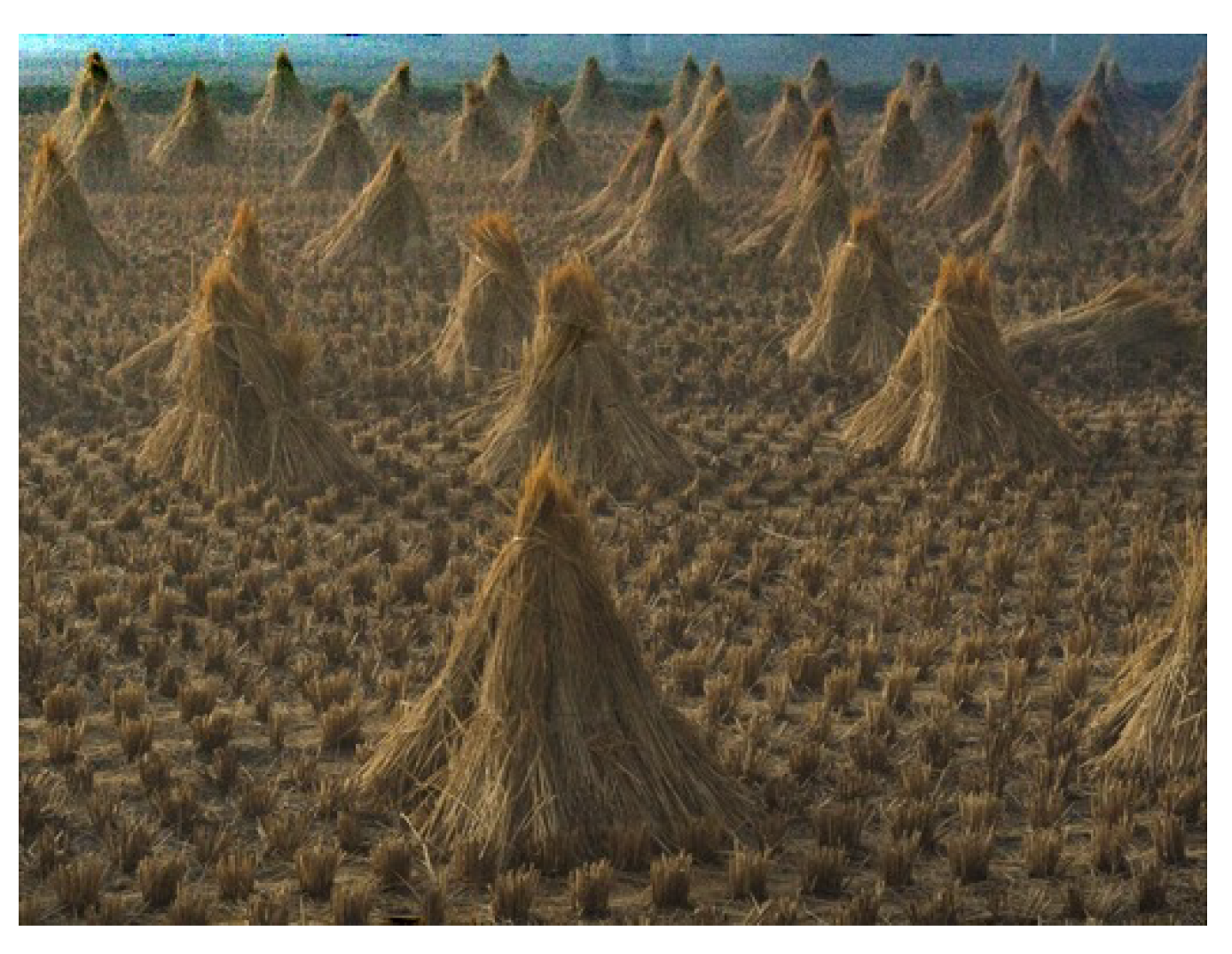 Sensors 20 04893 g006