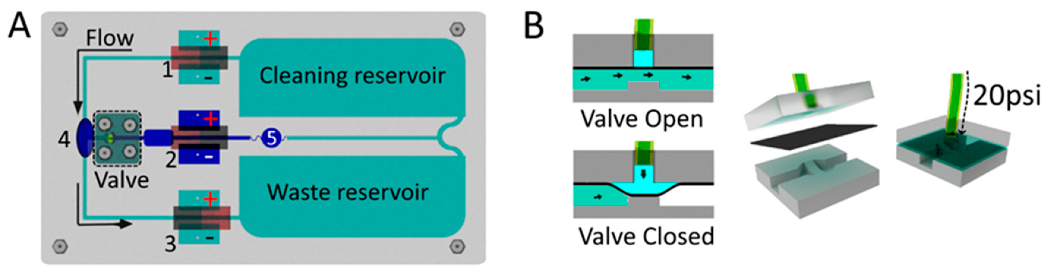 Sensors 20 04909 g002