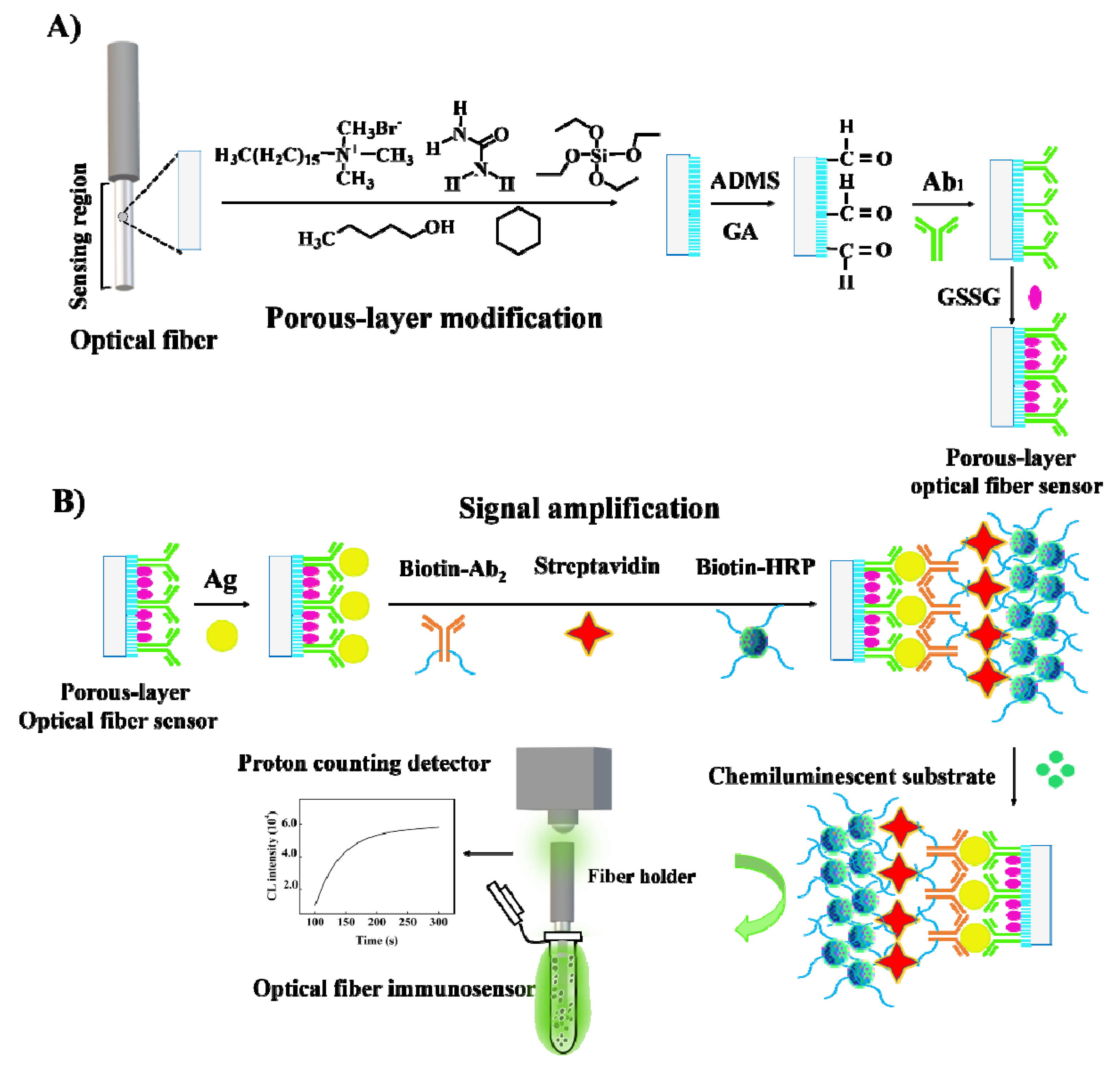Sensors 20 04912 sch001