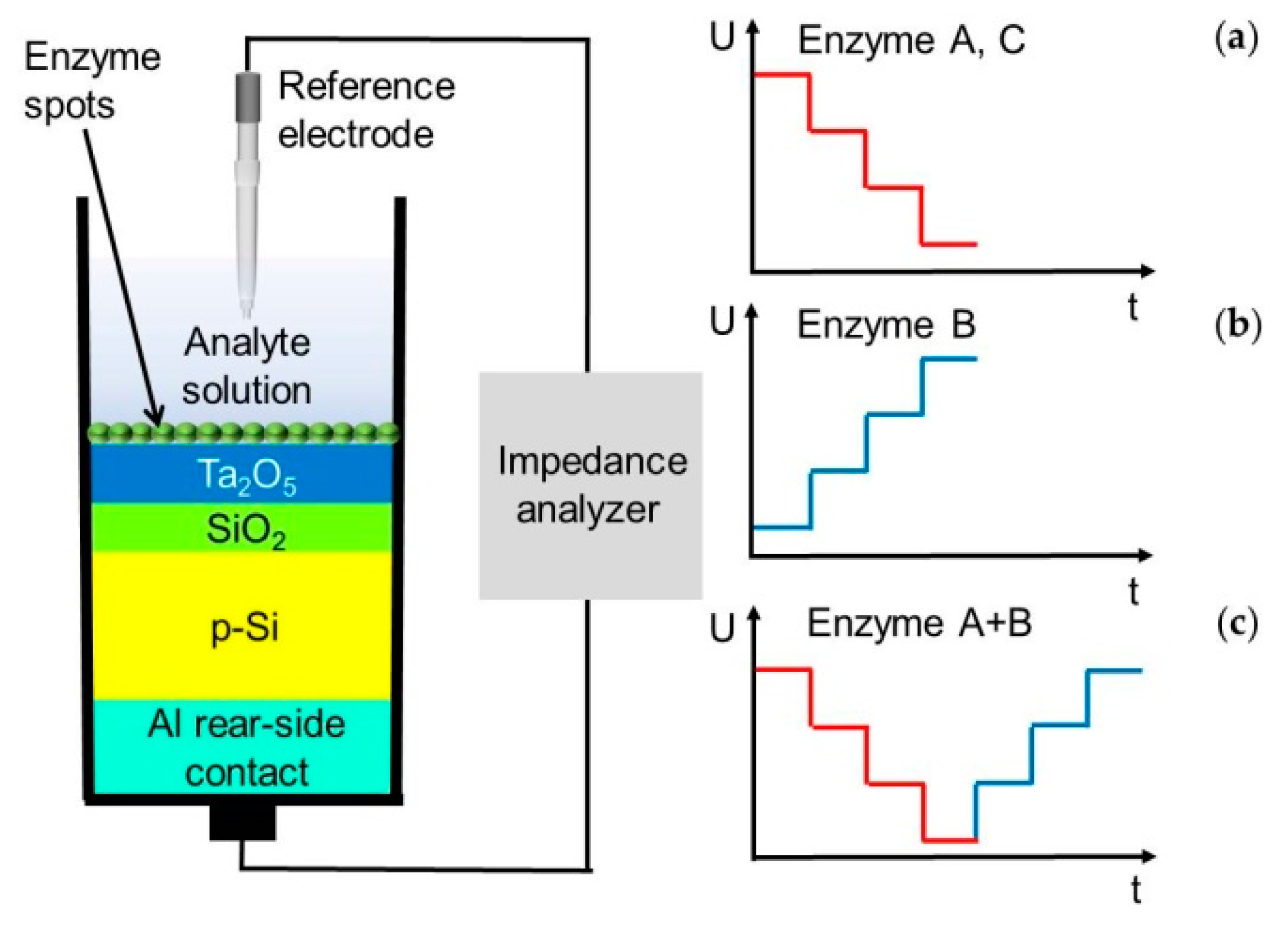 Sensors 20 04924 g001