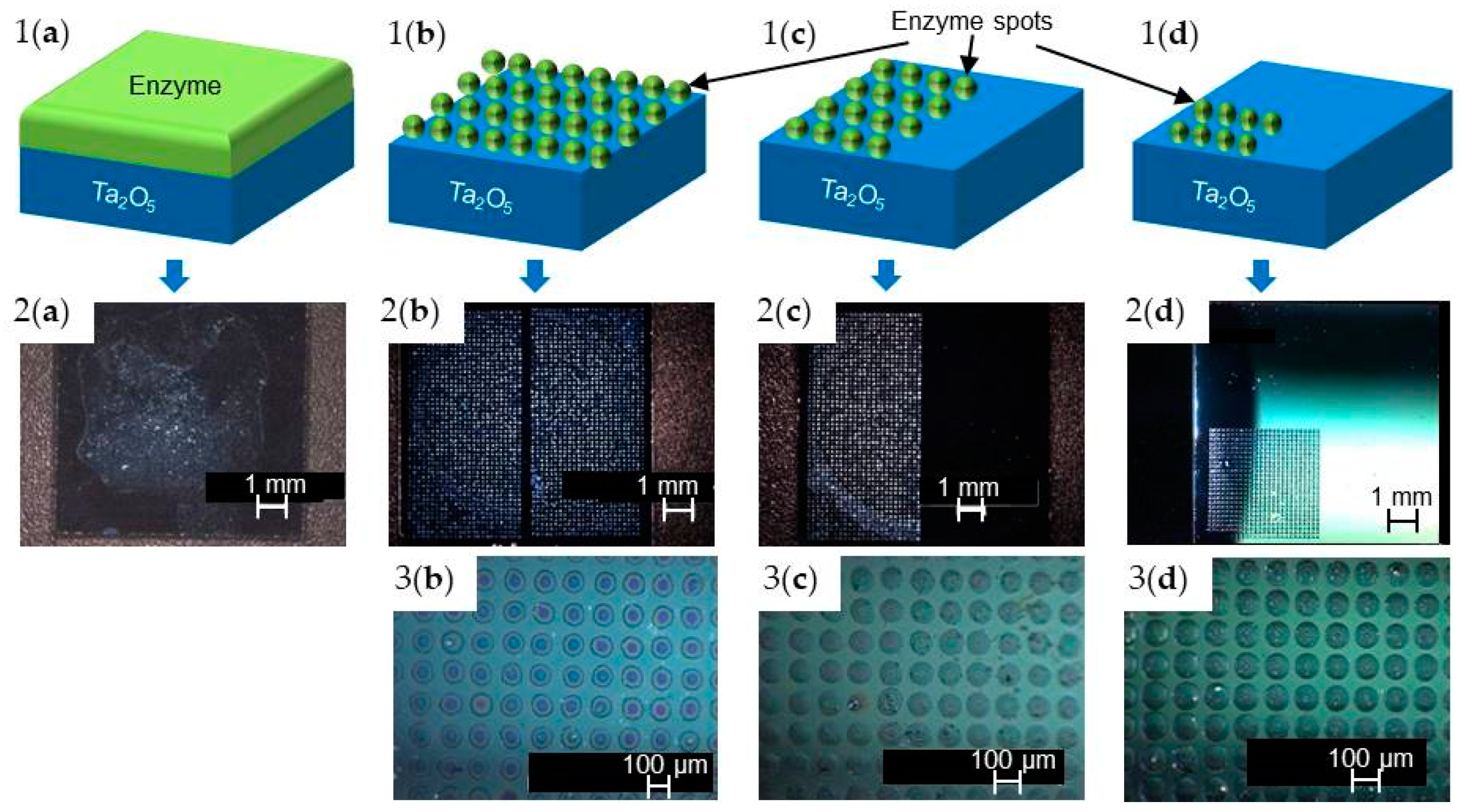 Sensors 20 04924 g002