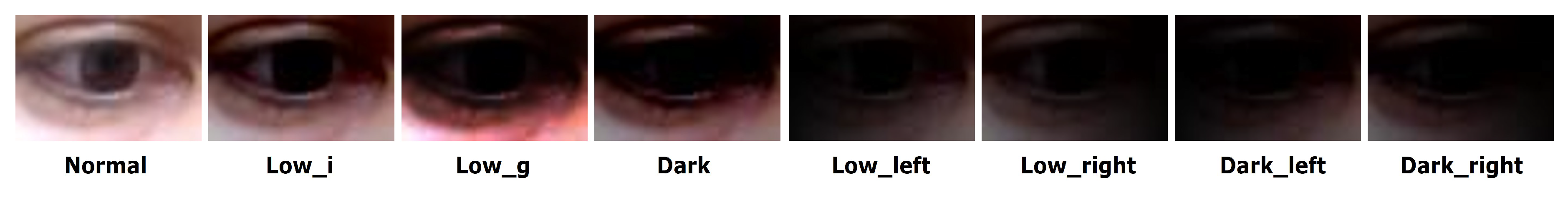 Sensors 20 04935 g003