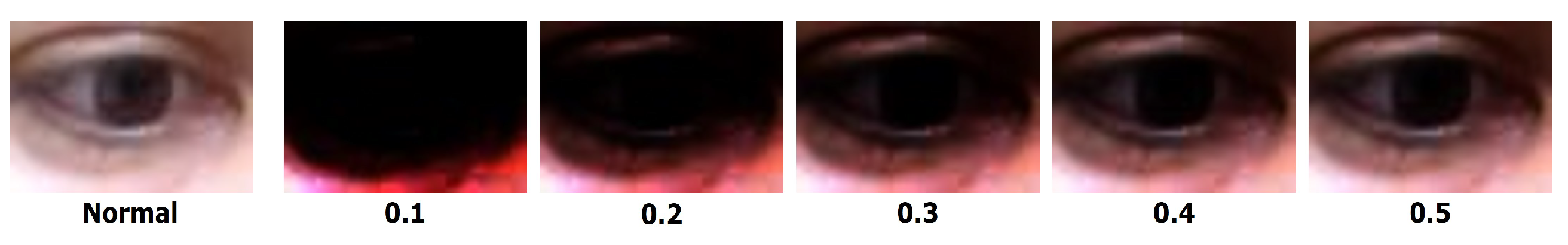 Sensors 20 04935 g004