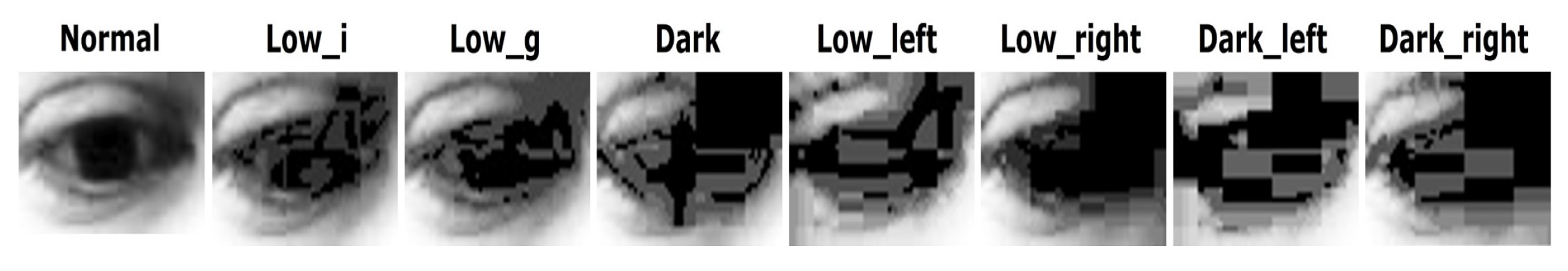 Sensors 20 04935 g006