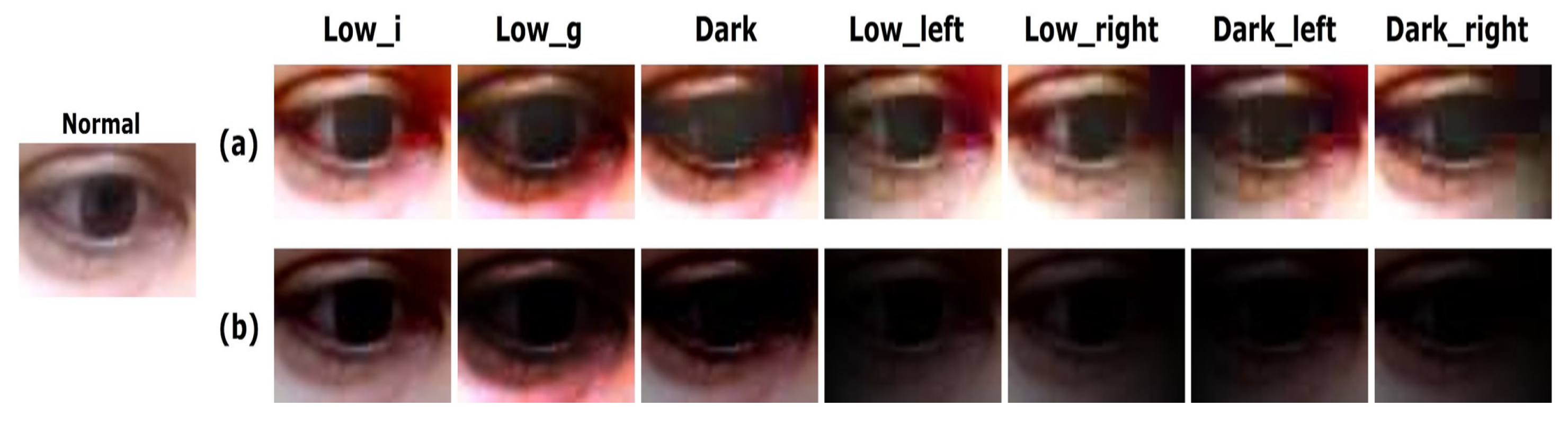 Sensors 20 04935 g010