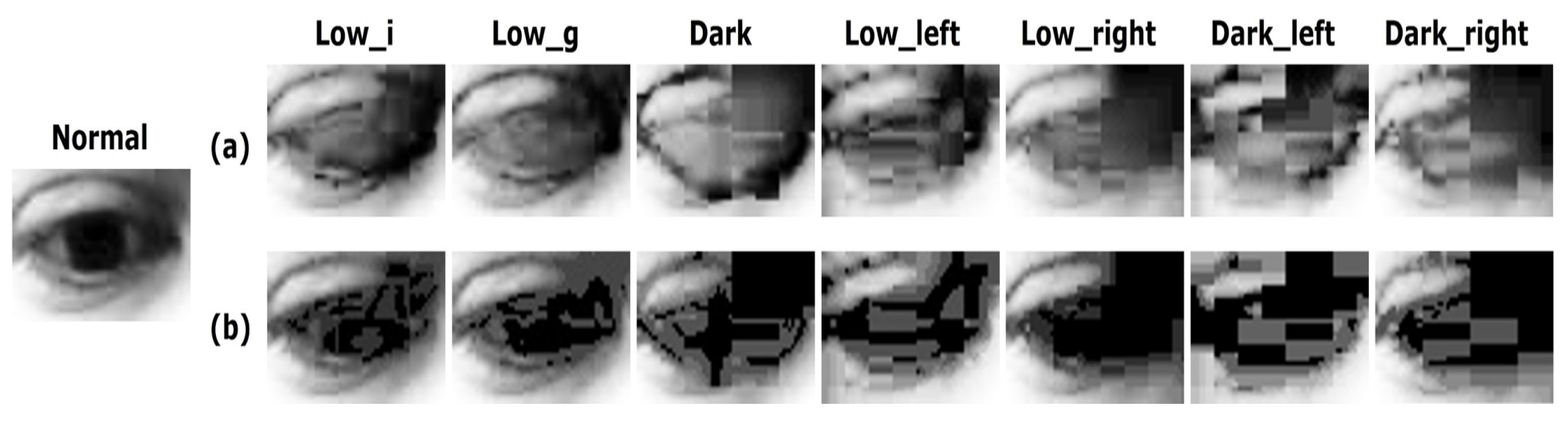 Sensors 20 04935 g011