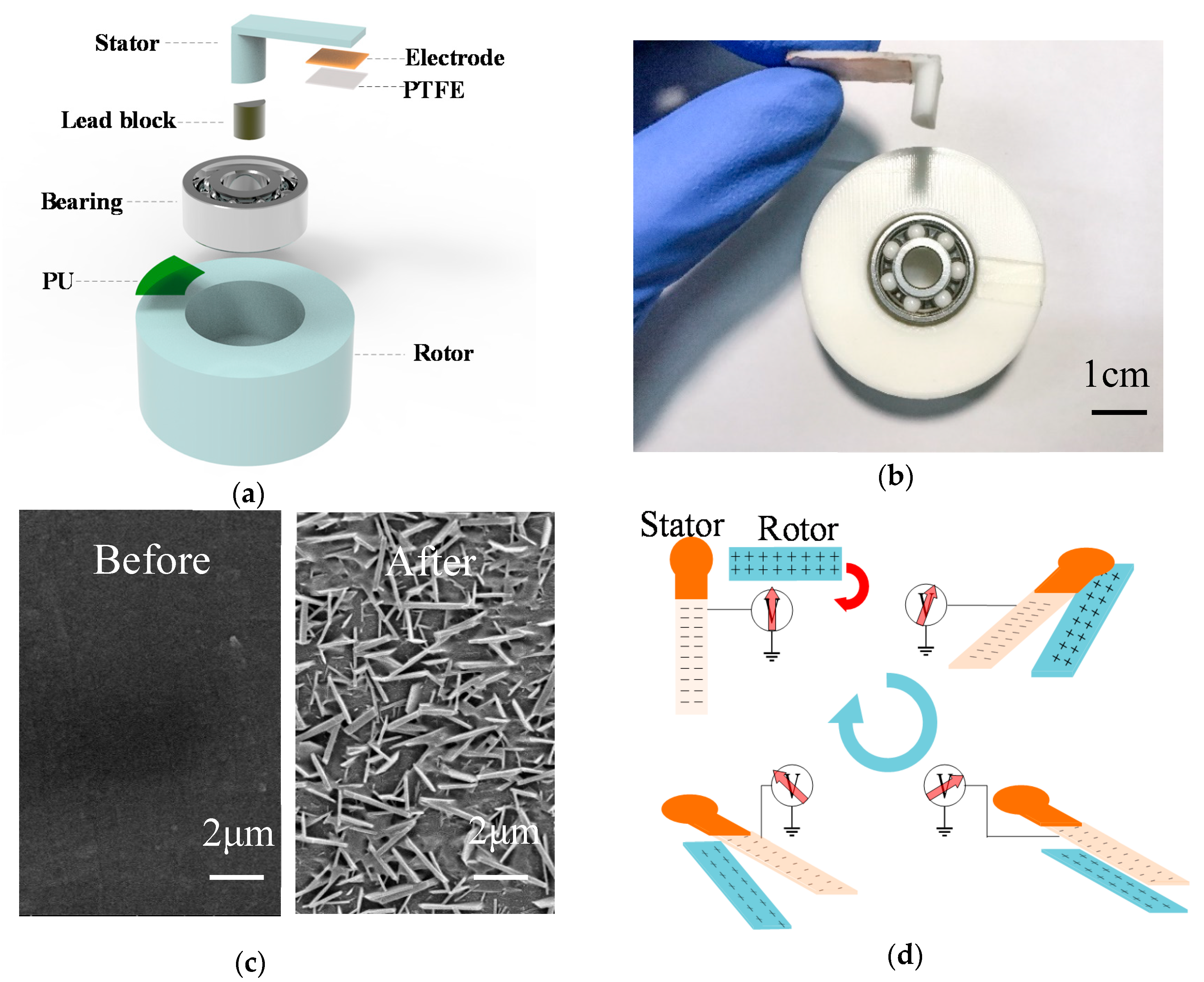Sensors 20 04947 g001