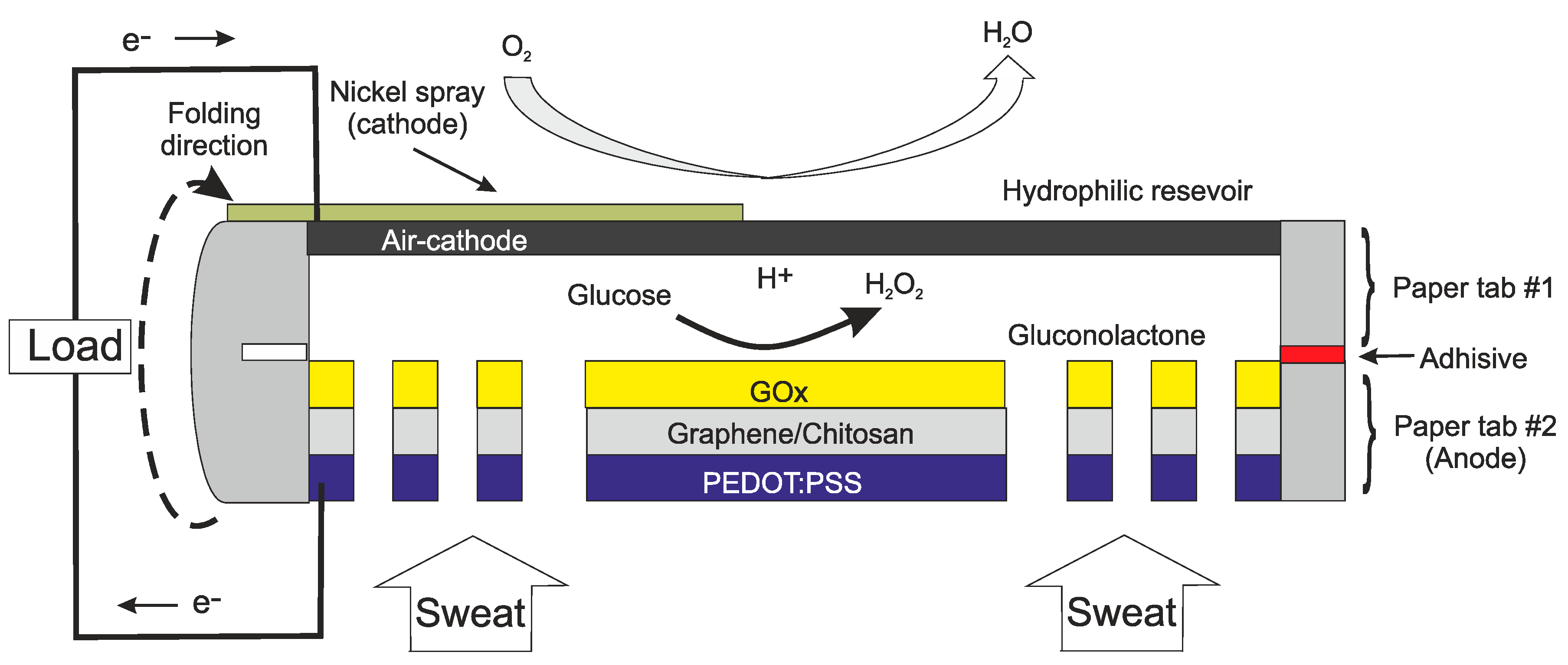 Sensors 20 04953 g005