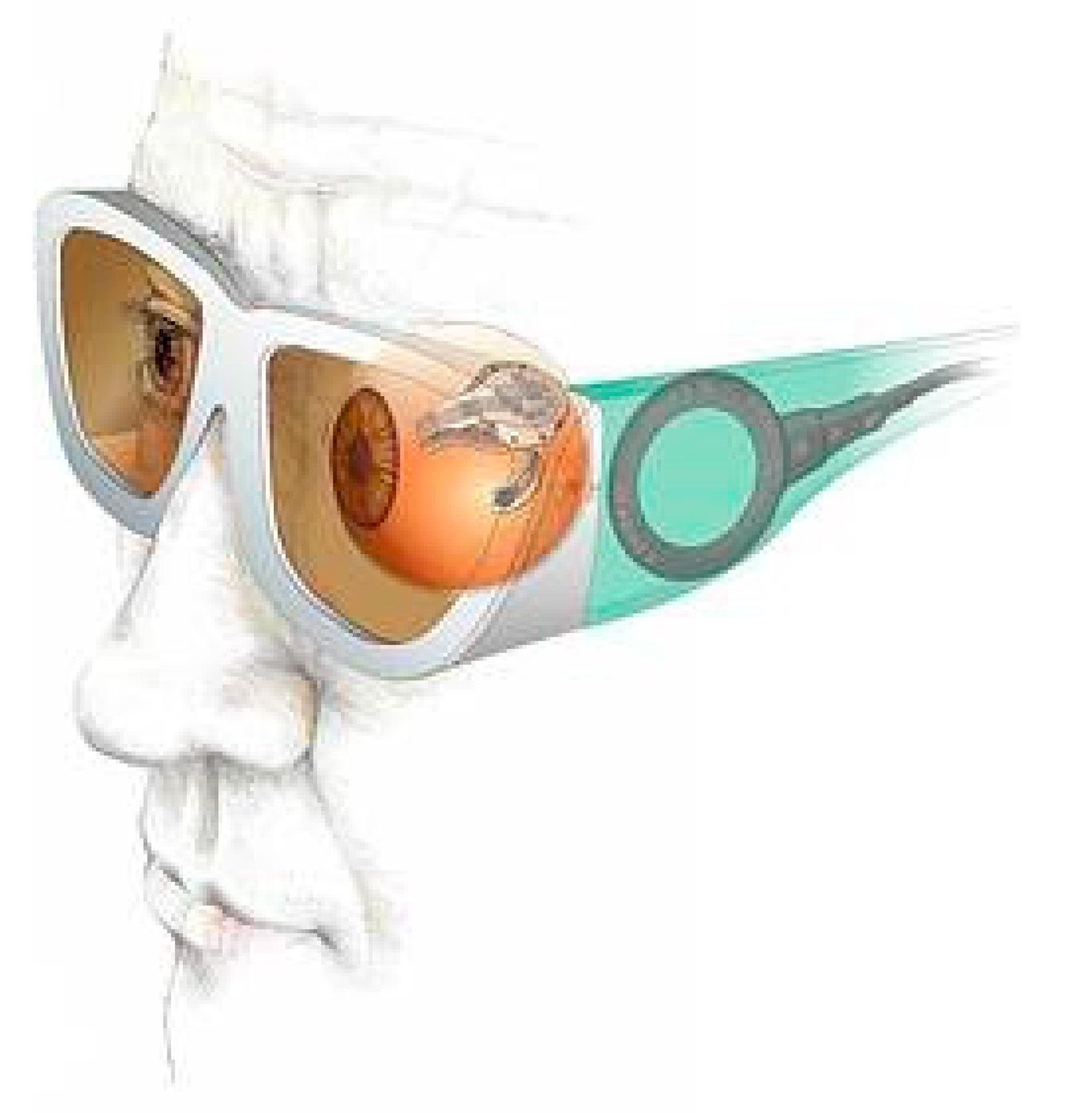 Sensors 20 04953 g015