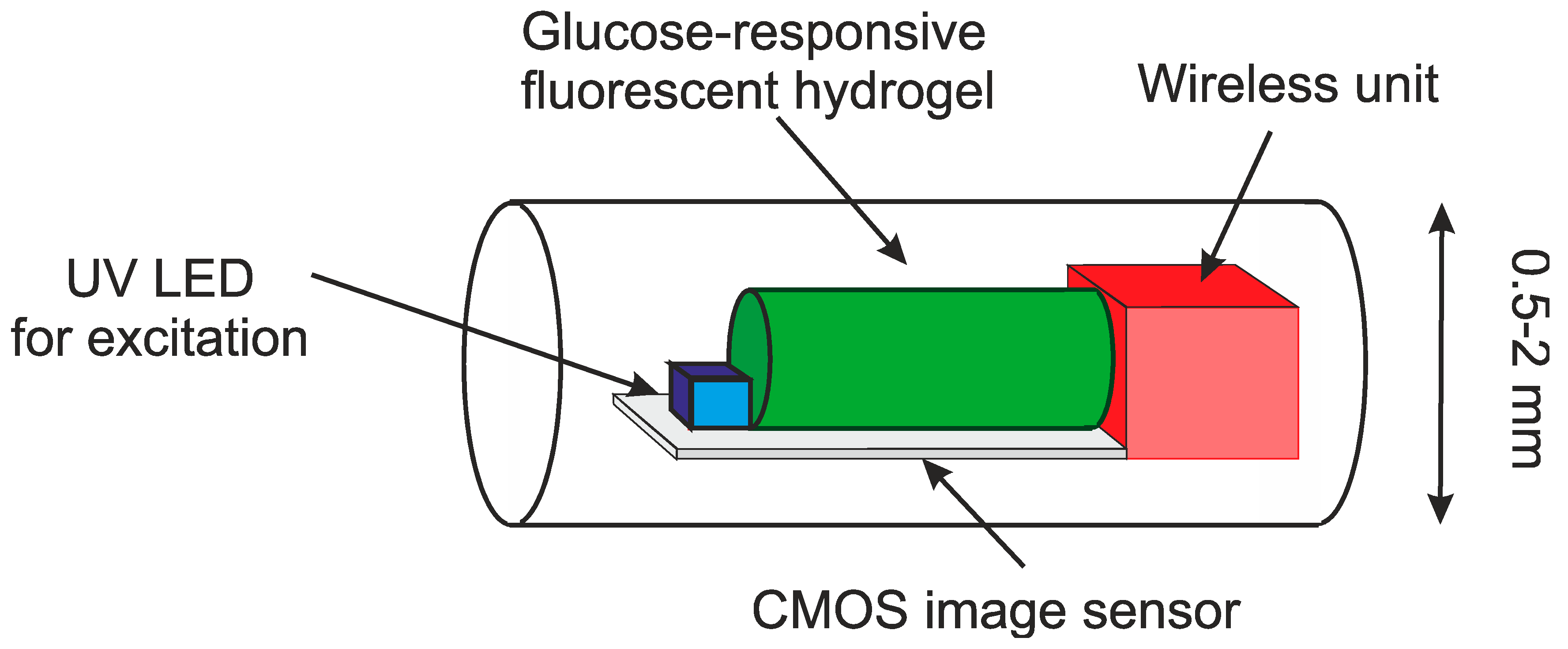 Sensors 20 04953 g017