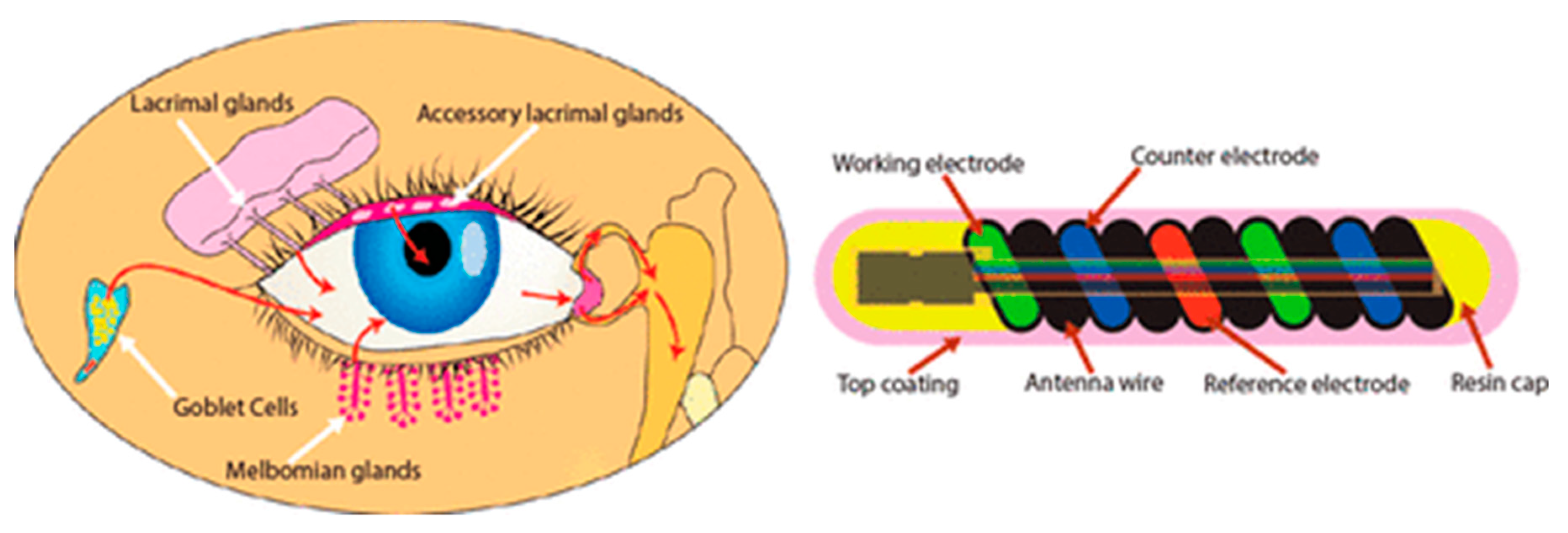 Sensors 20 04953 g018