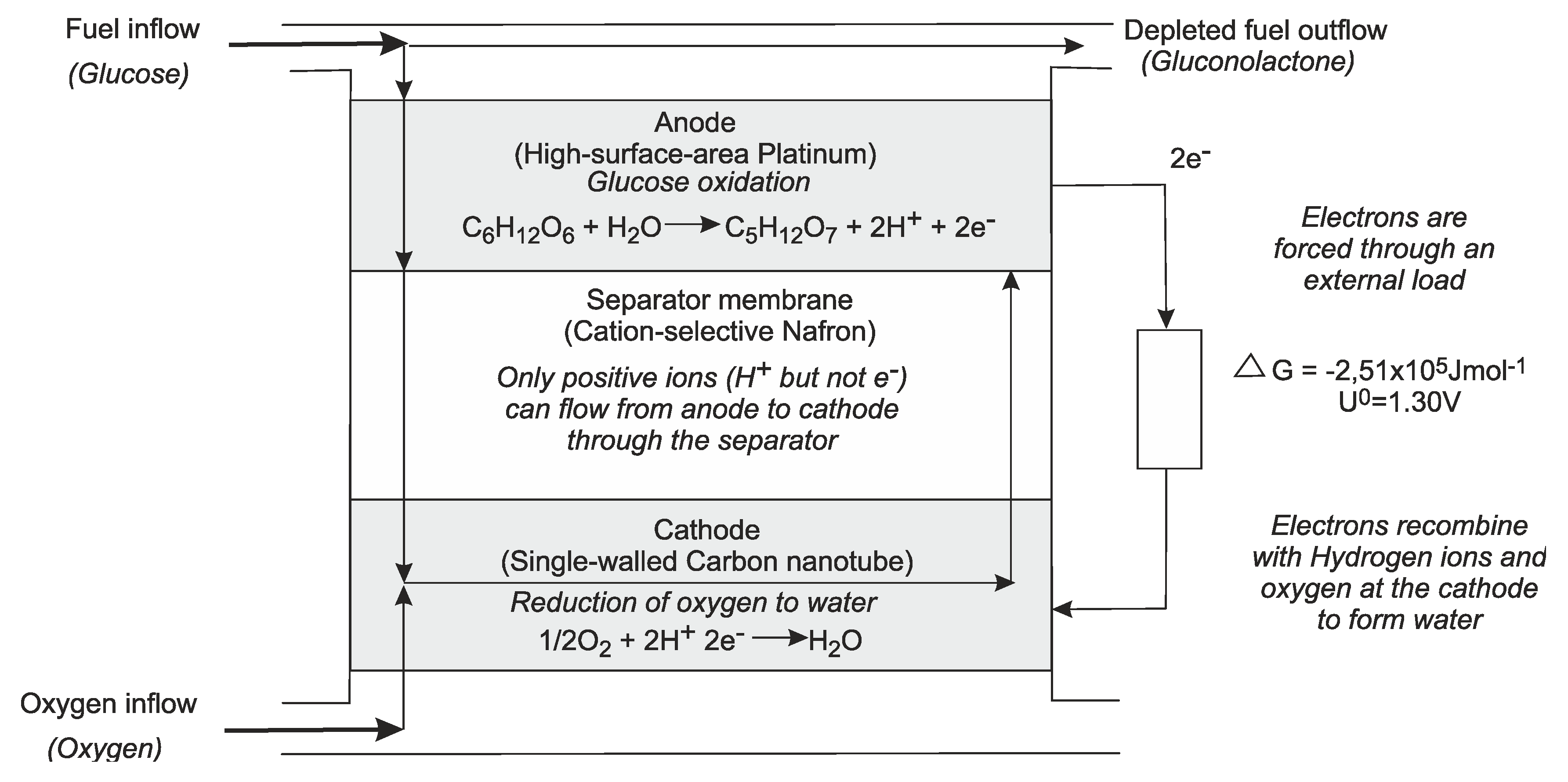 Sensors 20 04953 g022