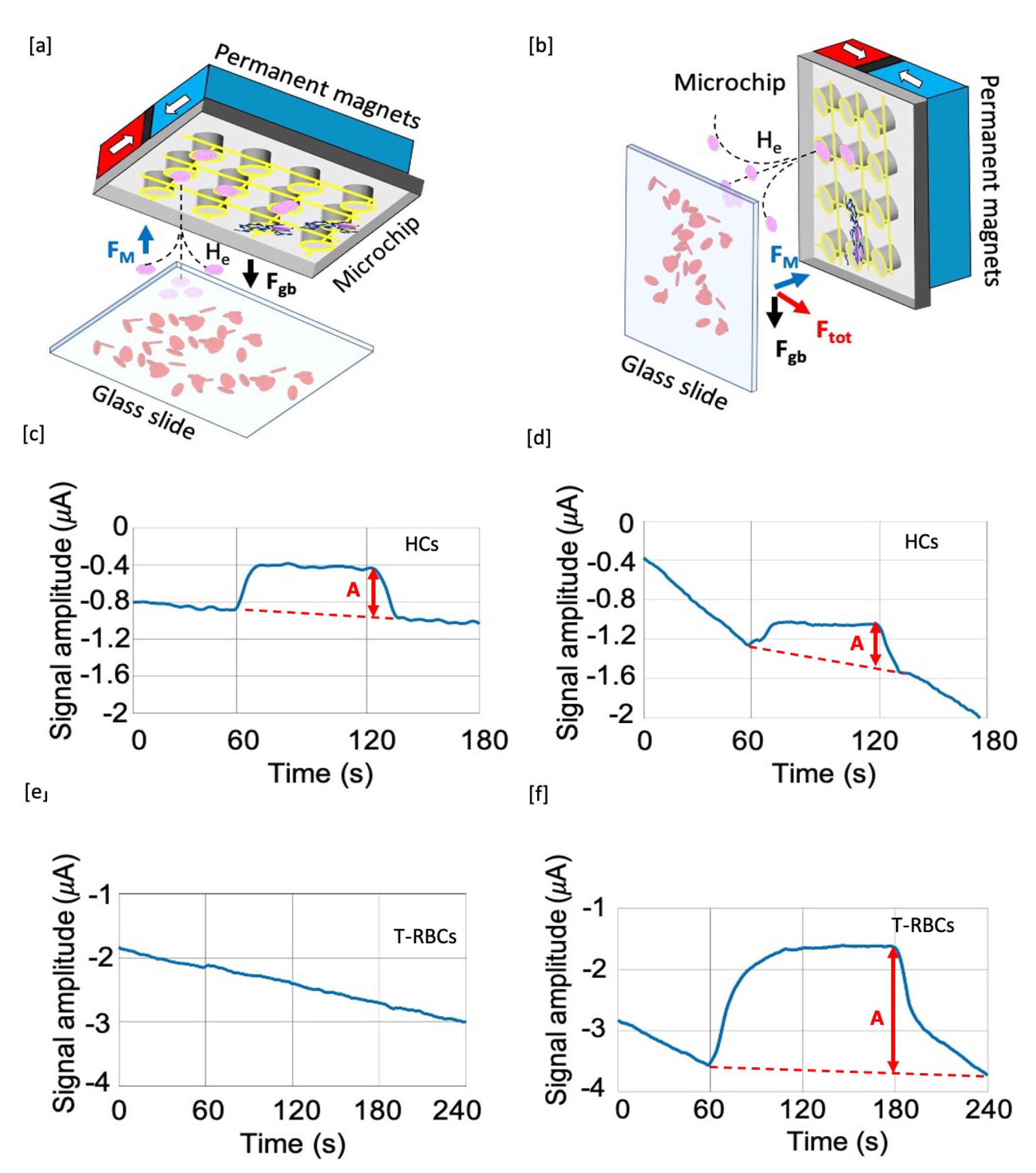 Sensors 20 04972 g002