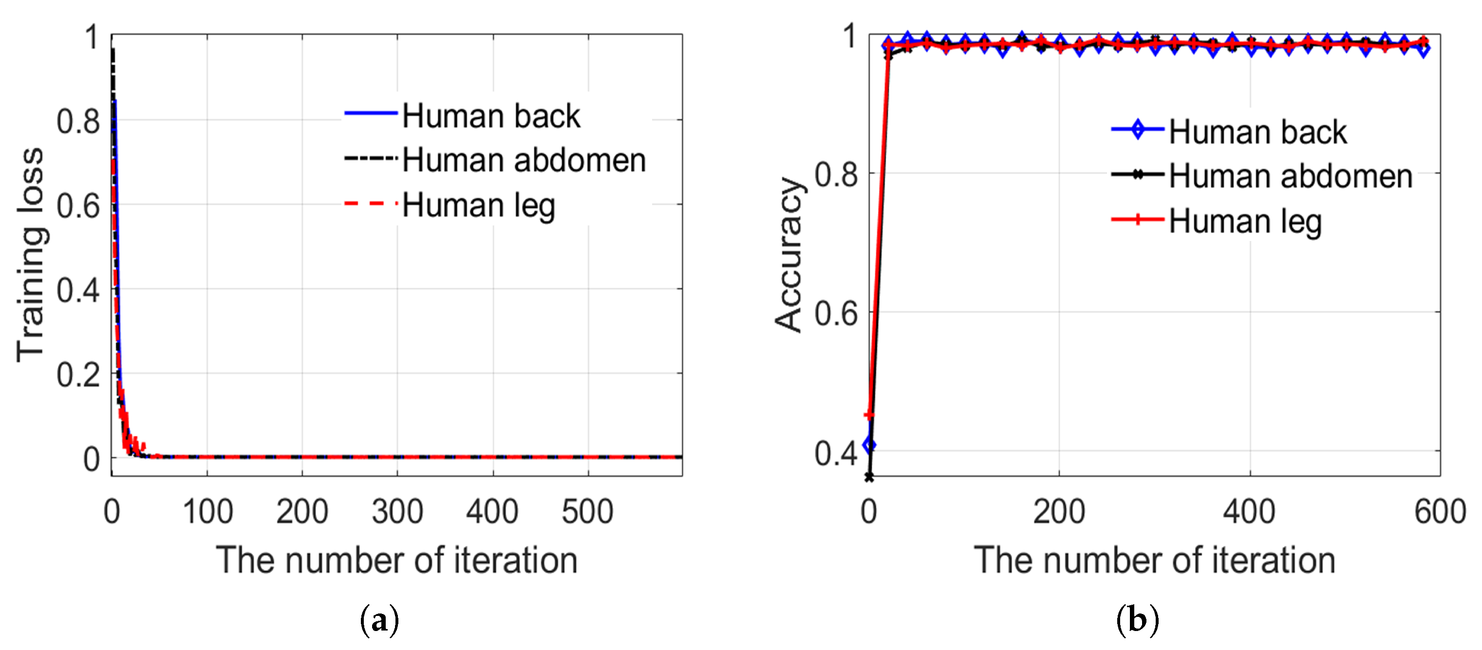 Sensors 20 04974 g009