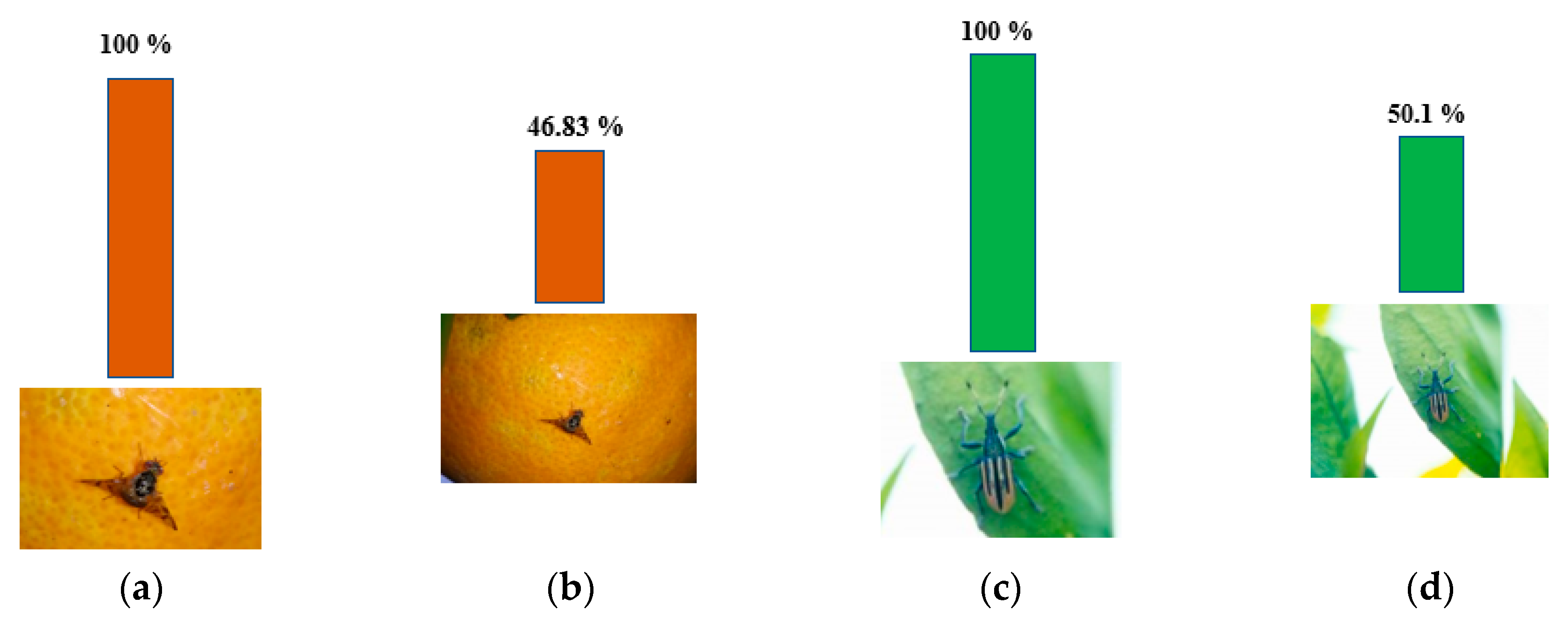 Sensors 20 04992 g006
