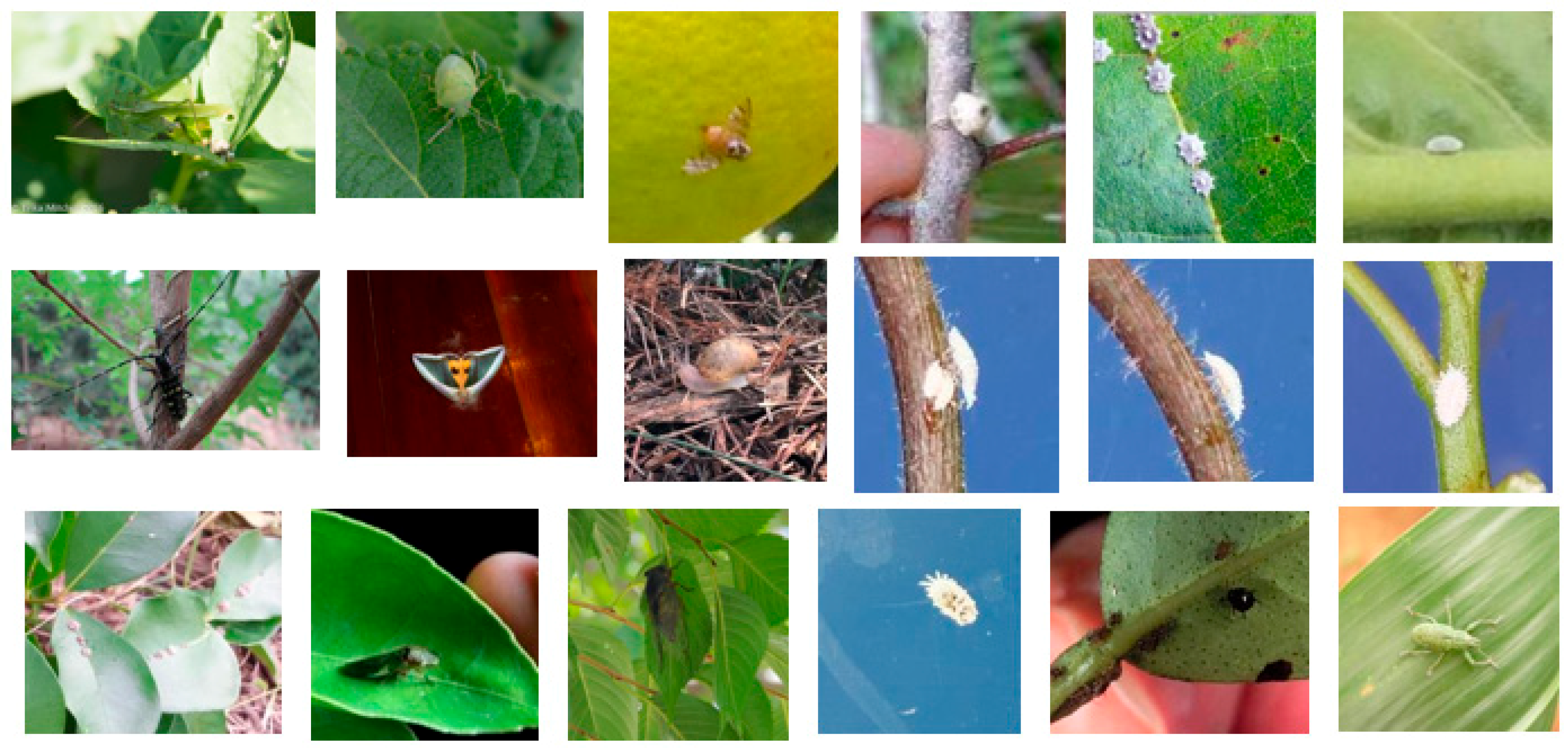 Sensors 20 04992 g013