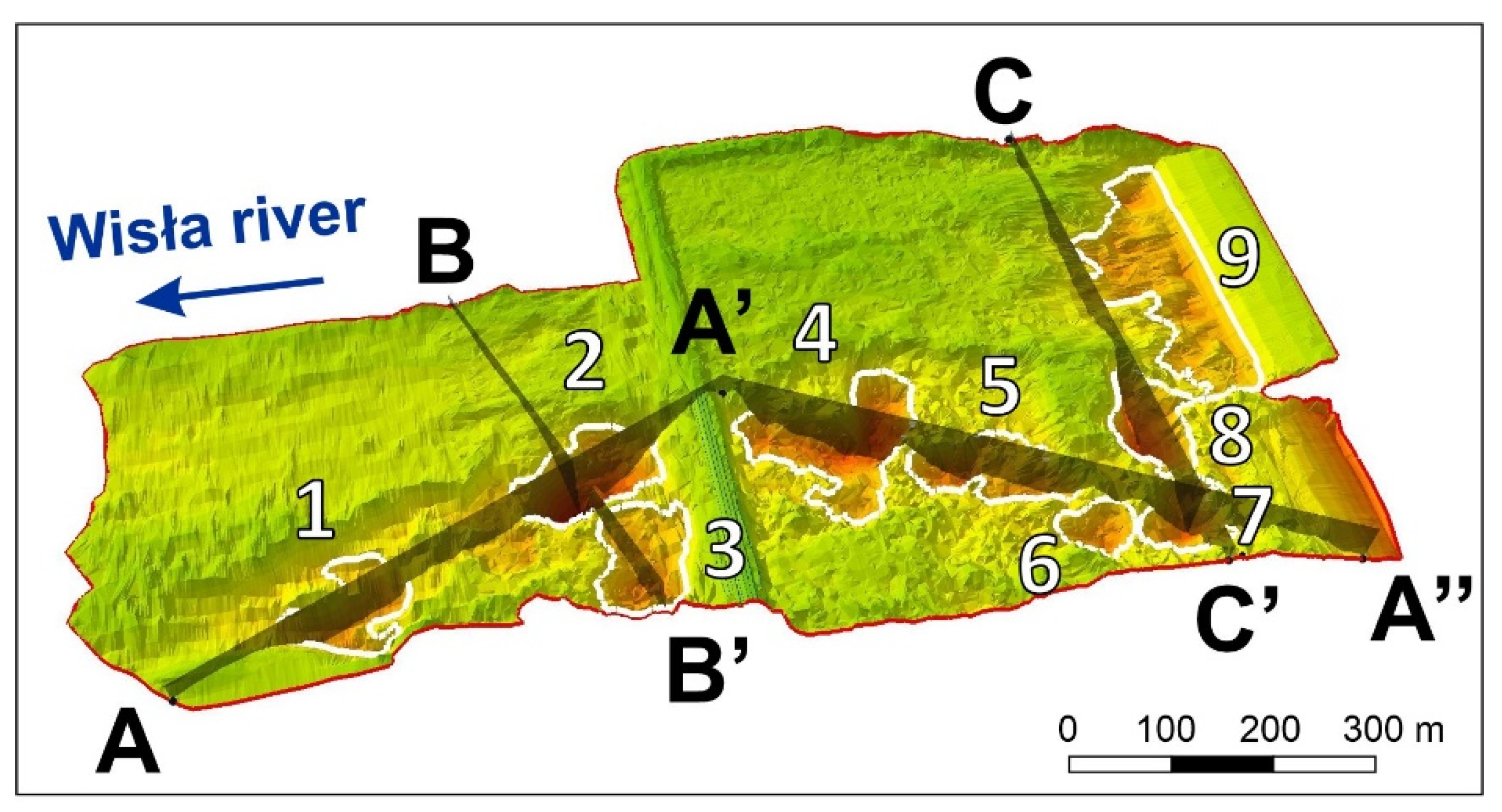 Sensors 20 05004 g005