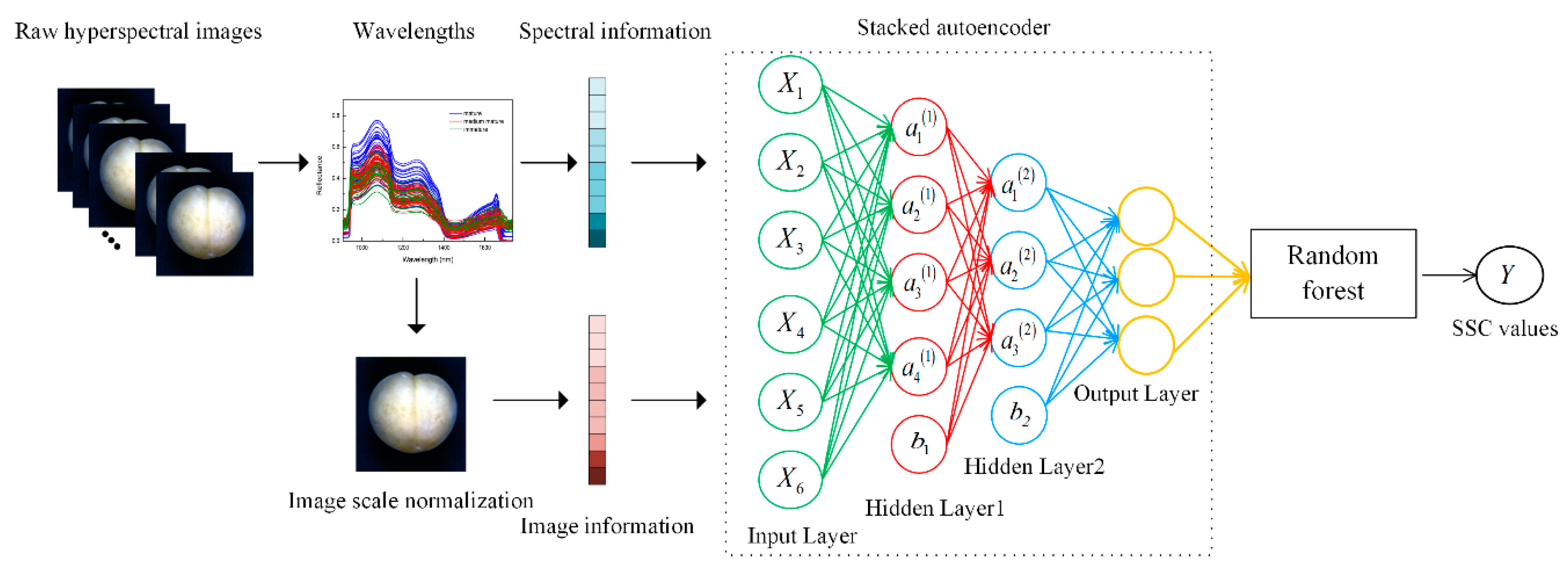 Sensors 20 05021 g002