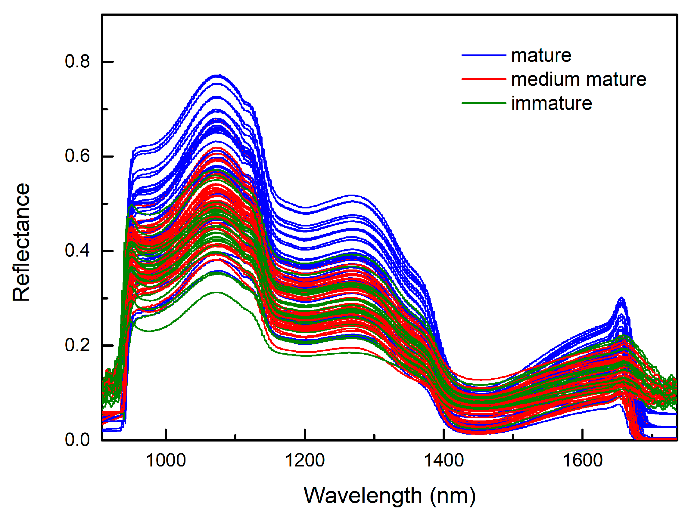 Sensors 20 05021 g003