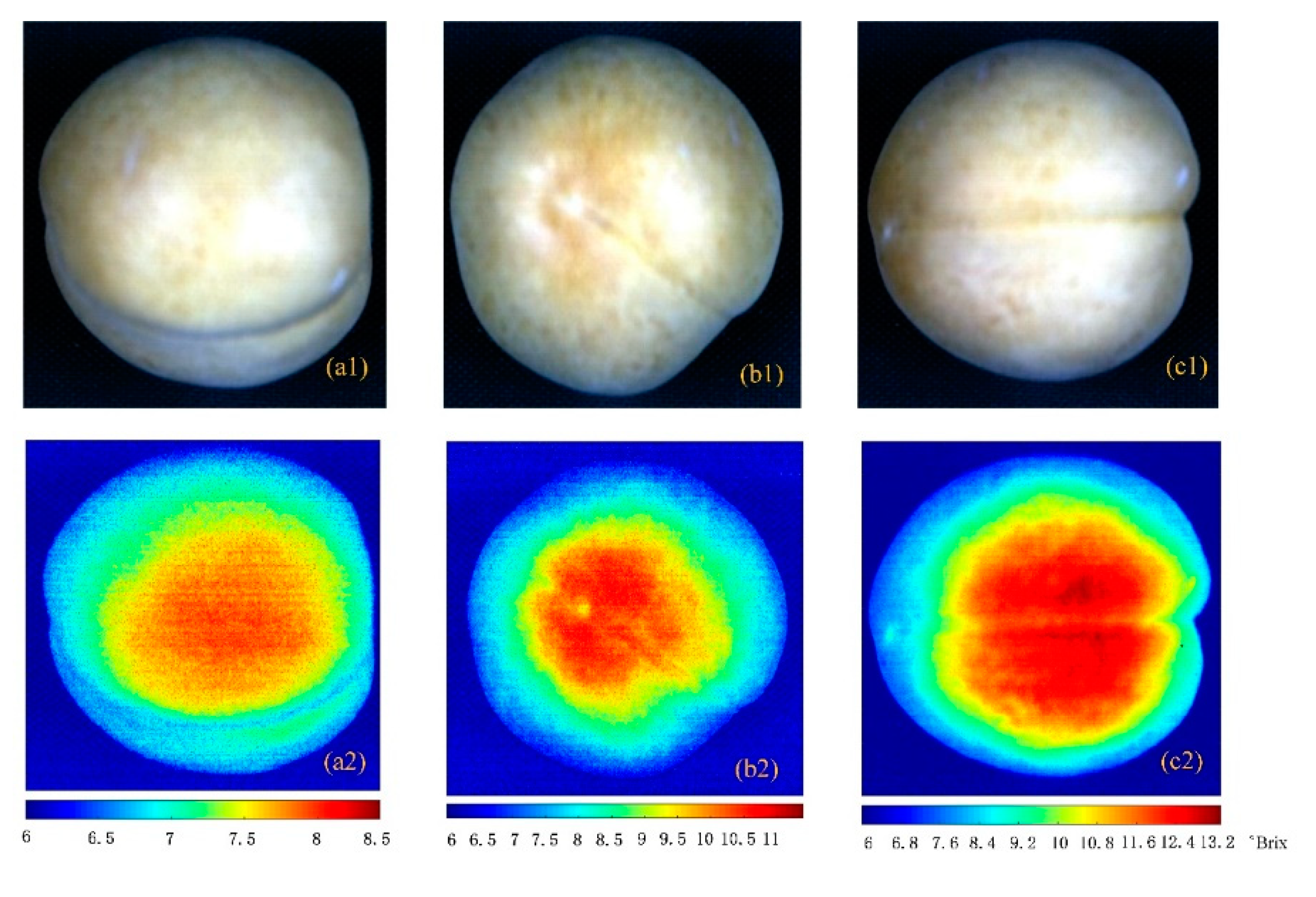 Sensors 20 05021 g006
