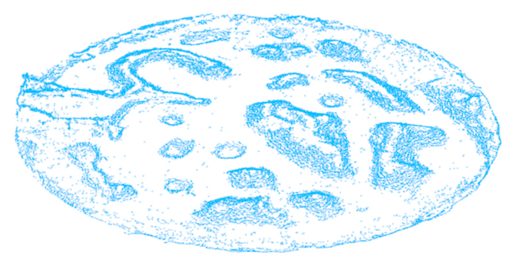 Sensors 20 05048 g013