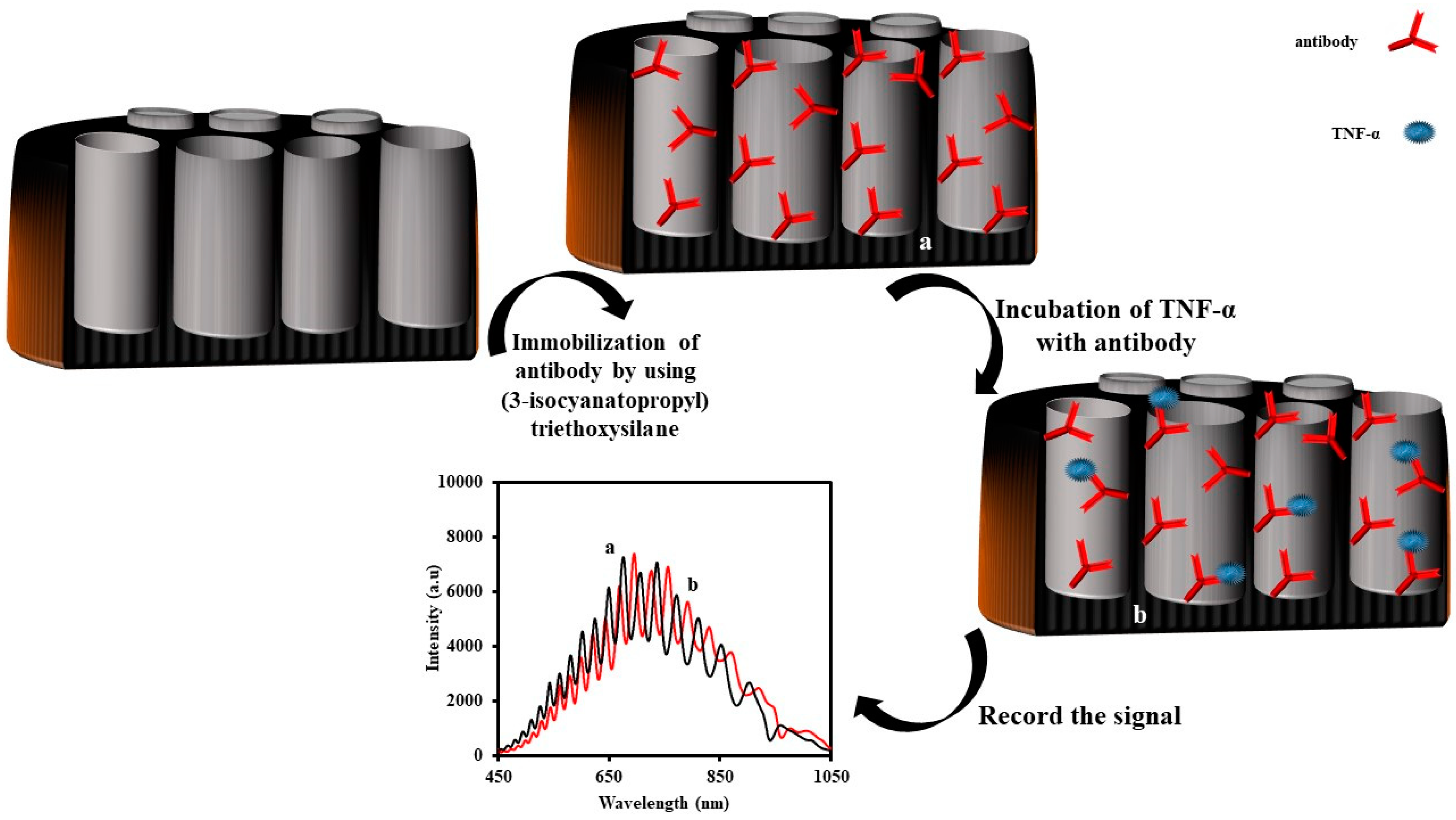 Sensors 20 05068 g005