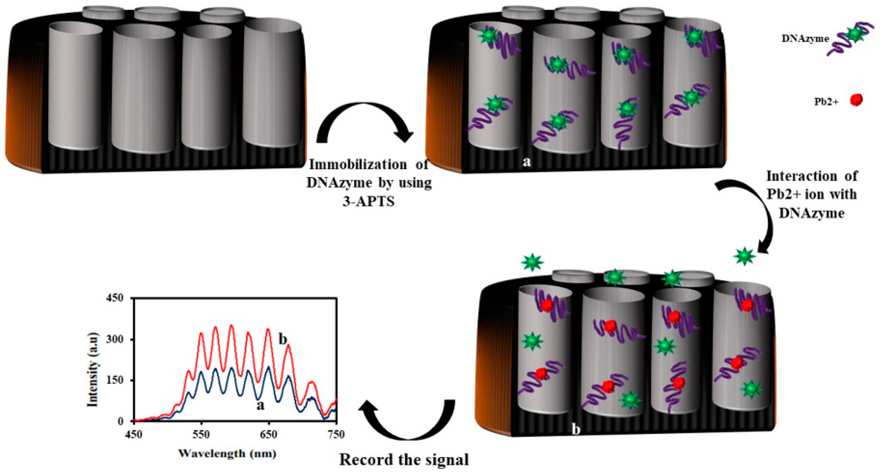 Sensors 20 05068 g009