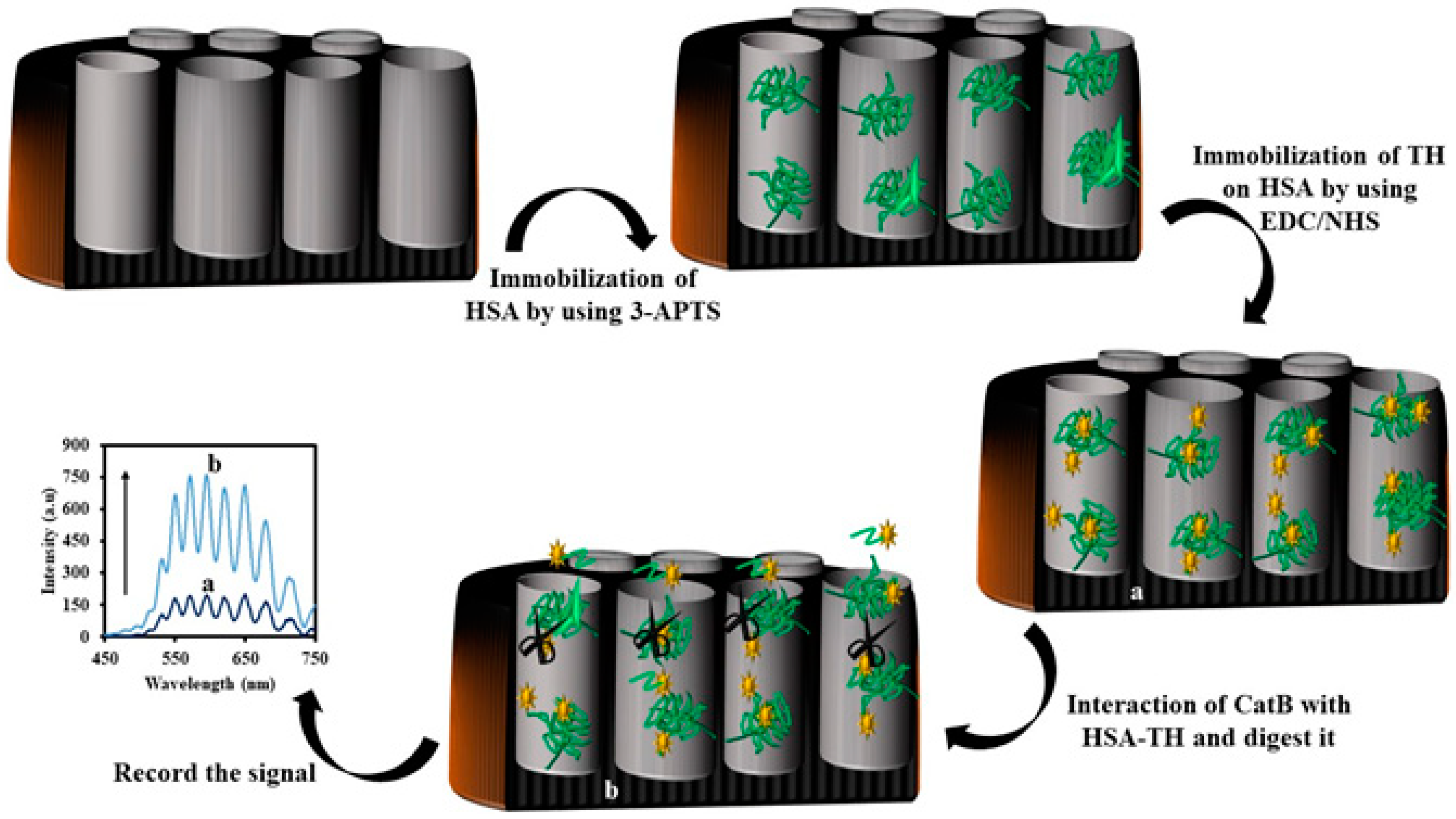 Sensors 20 05068 g012