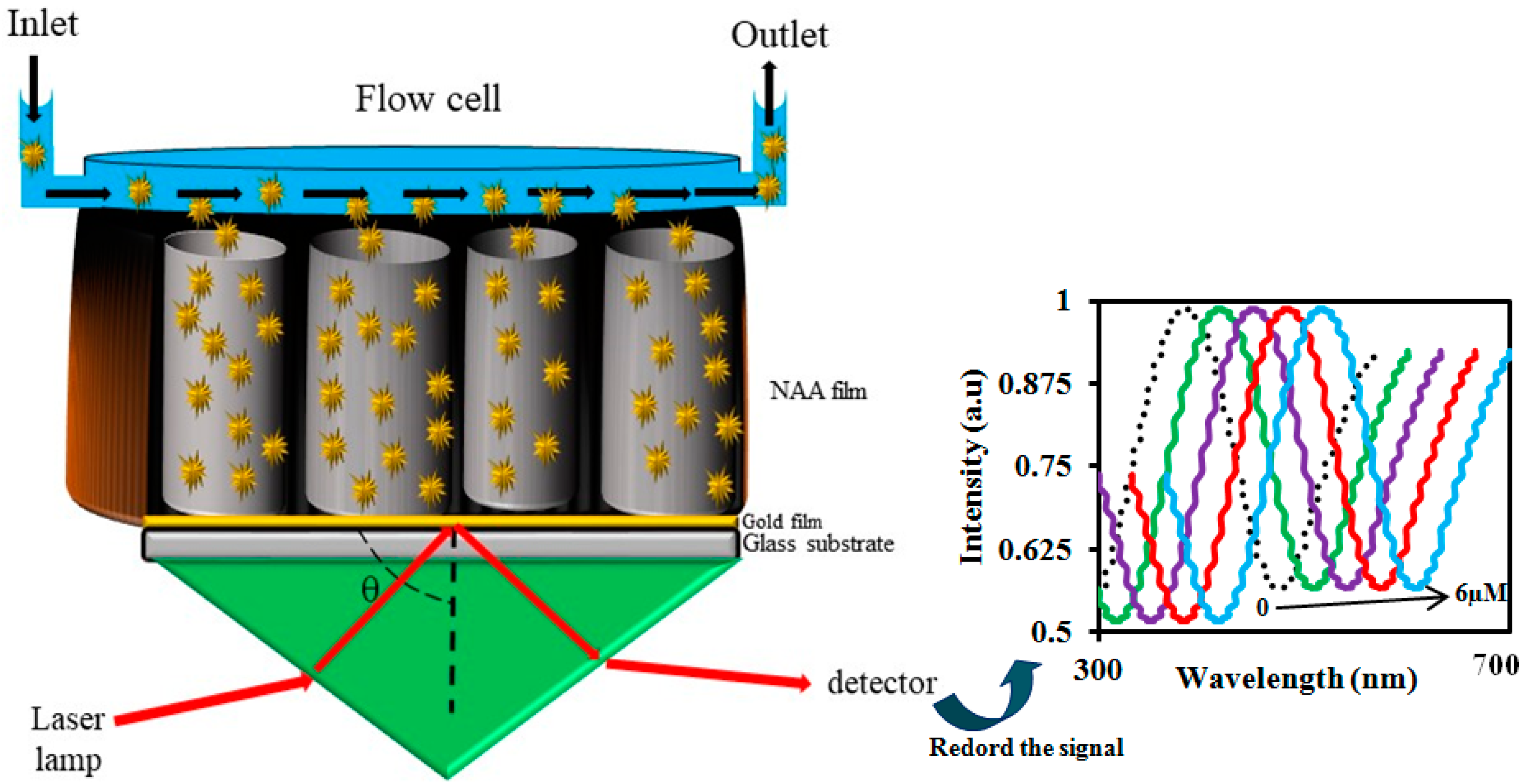 Sensors 20 05068 g015