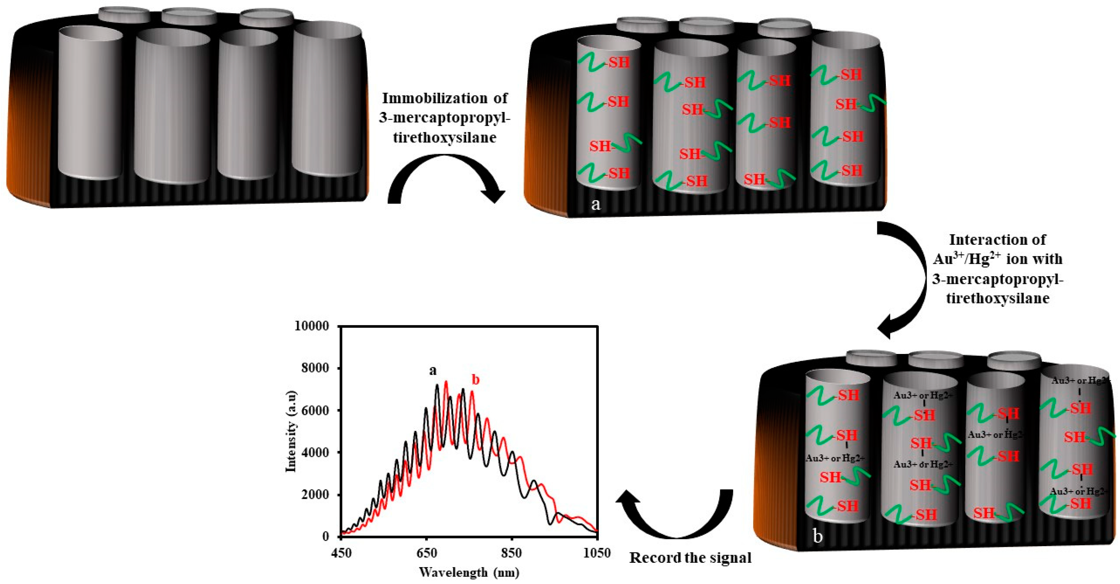 Sensors 20 05068 g016