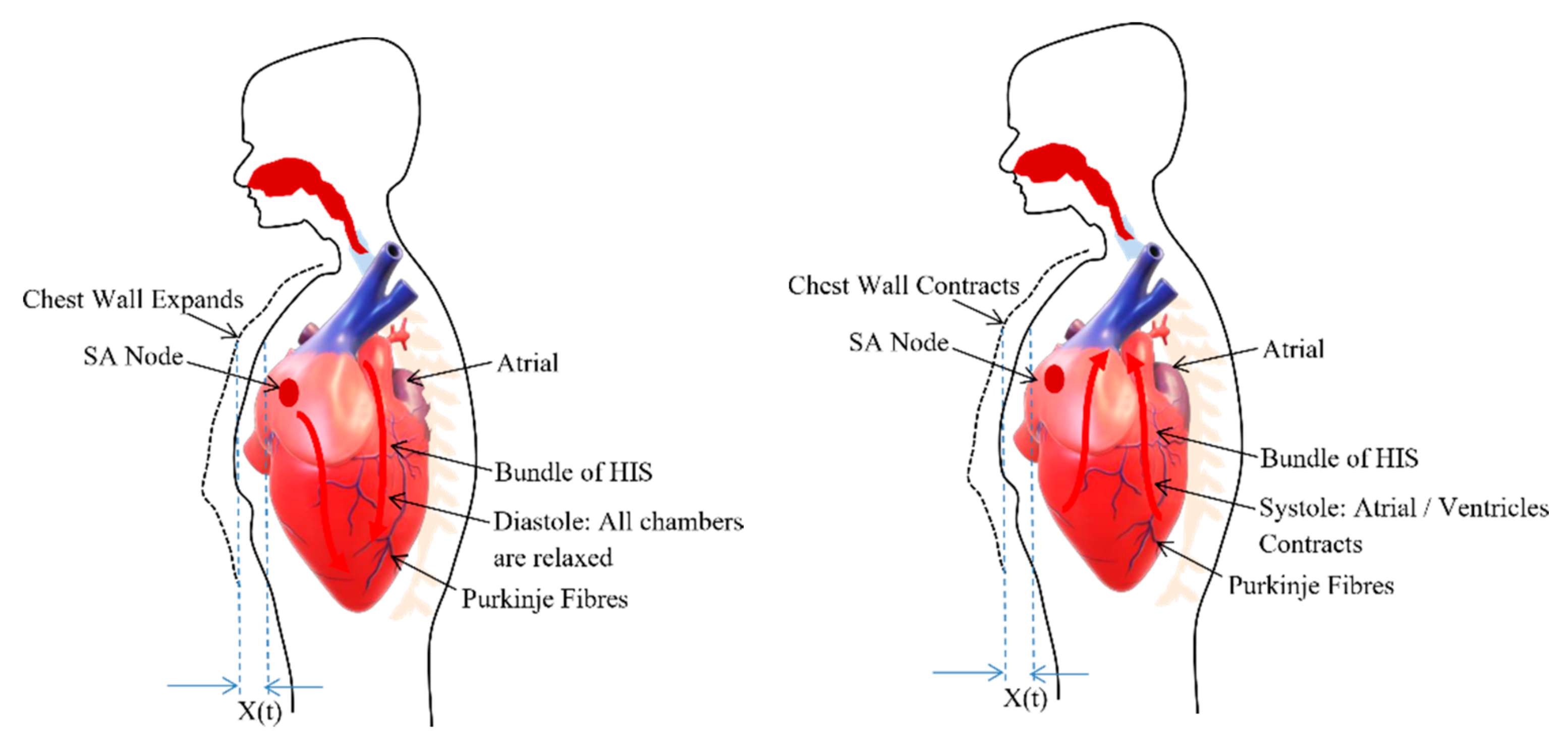 Sensors 20 05094 g002 Sensors 20 05094 g002
