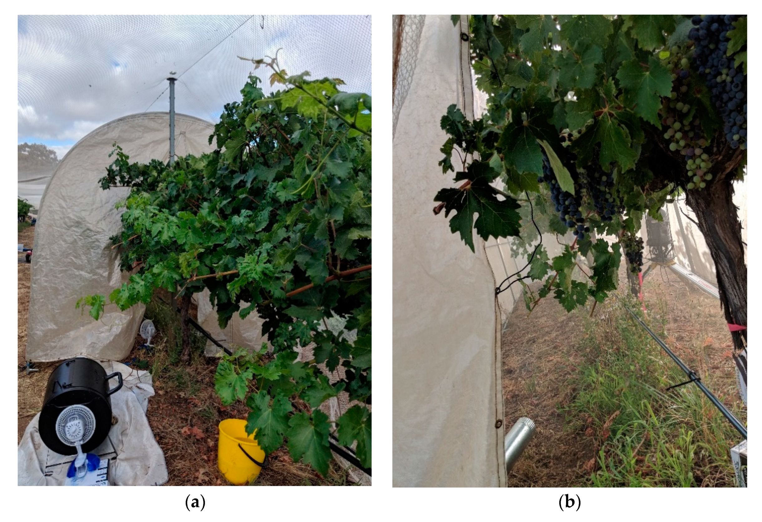 Sensors 20 05099 g001