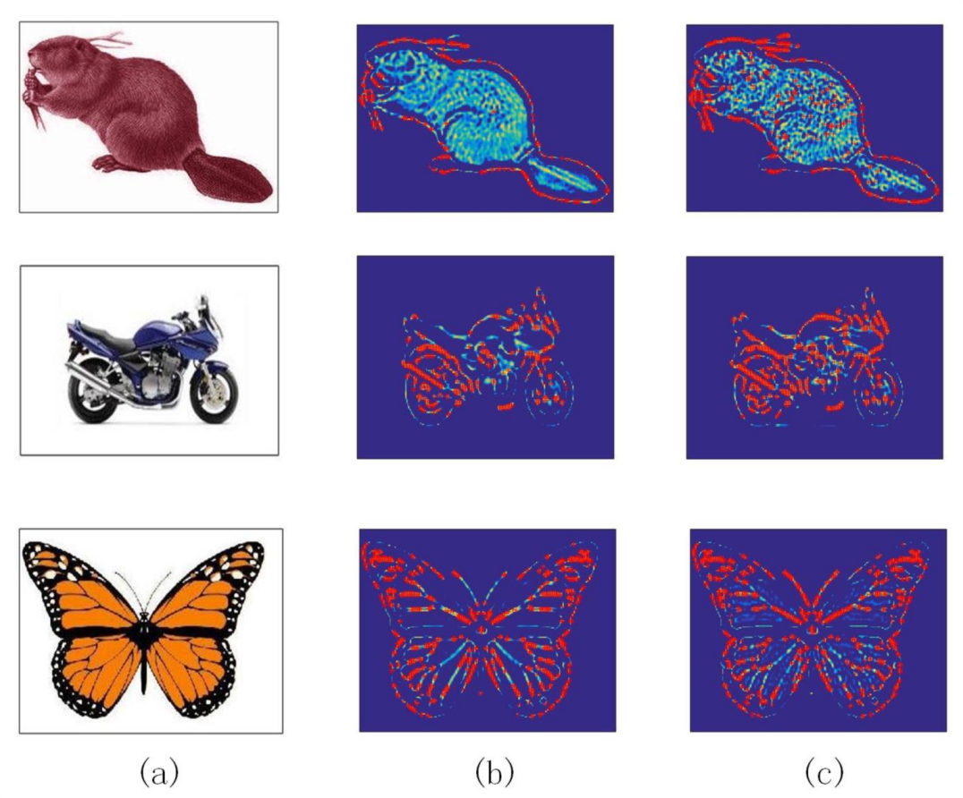 Sensors 20 05117 g008