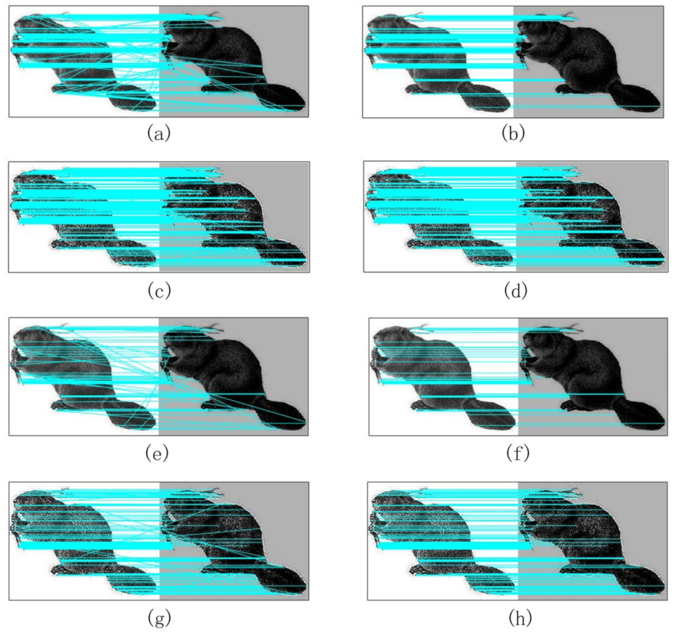 Sensors 20 05117 g010