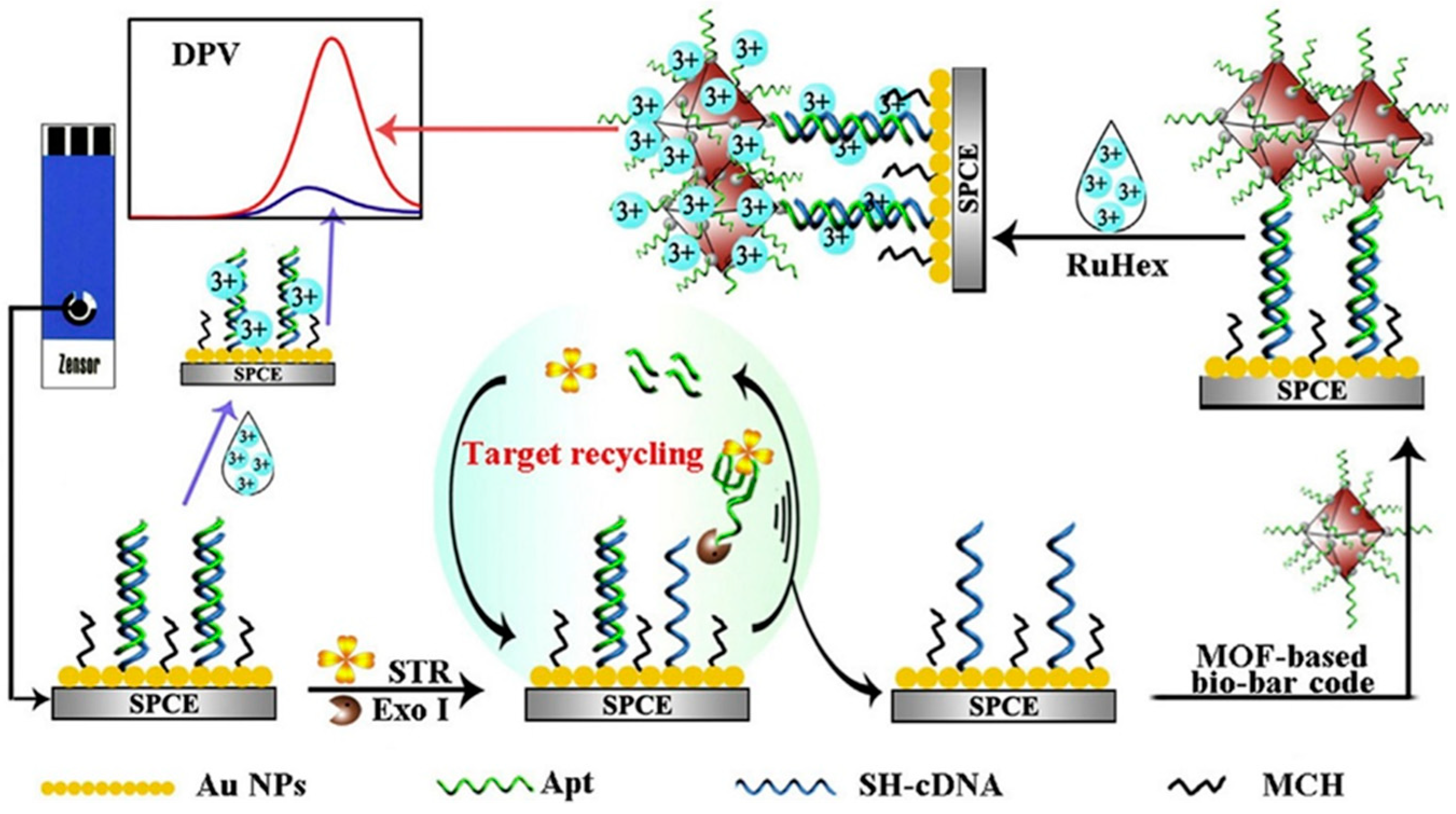 Sensors 20 05125 g004