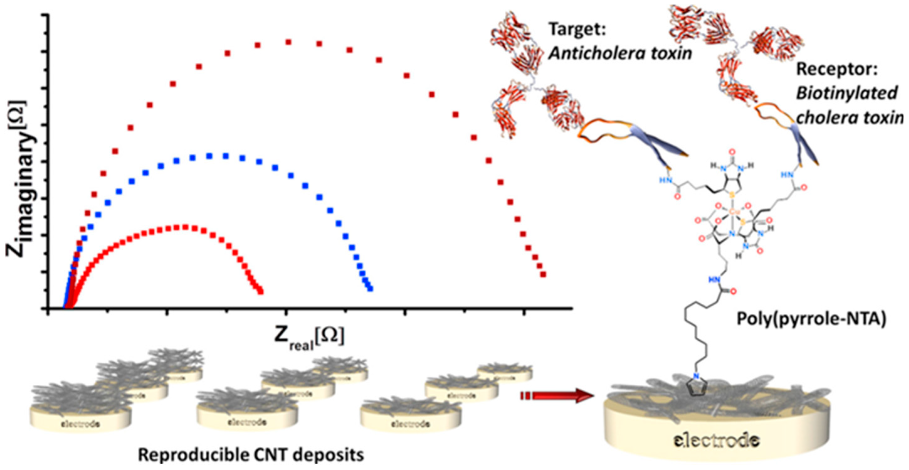 Sensors 20 05125 g005