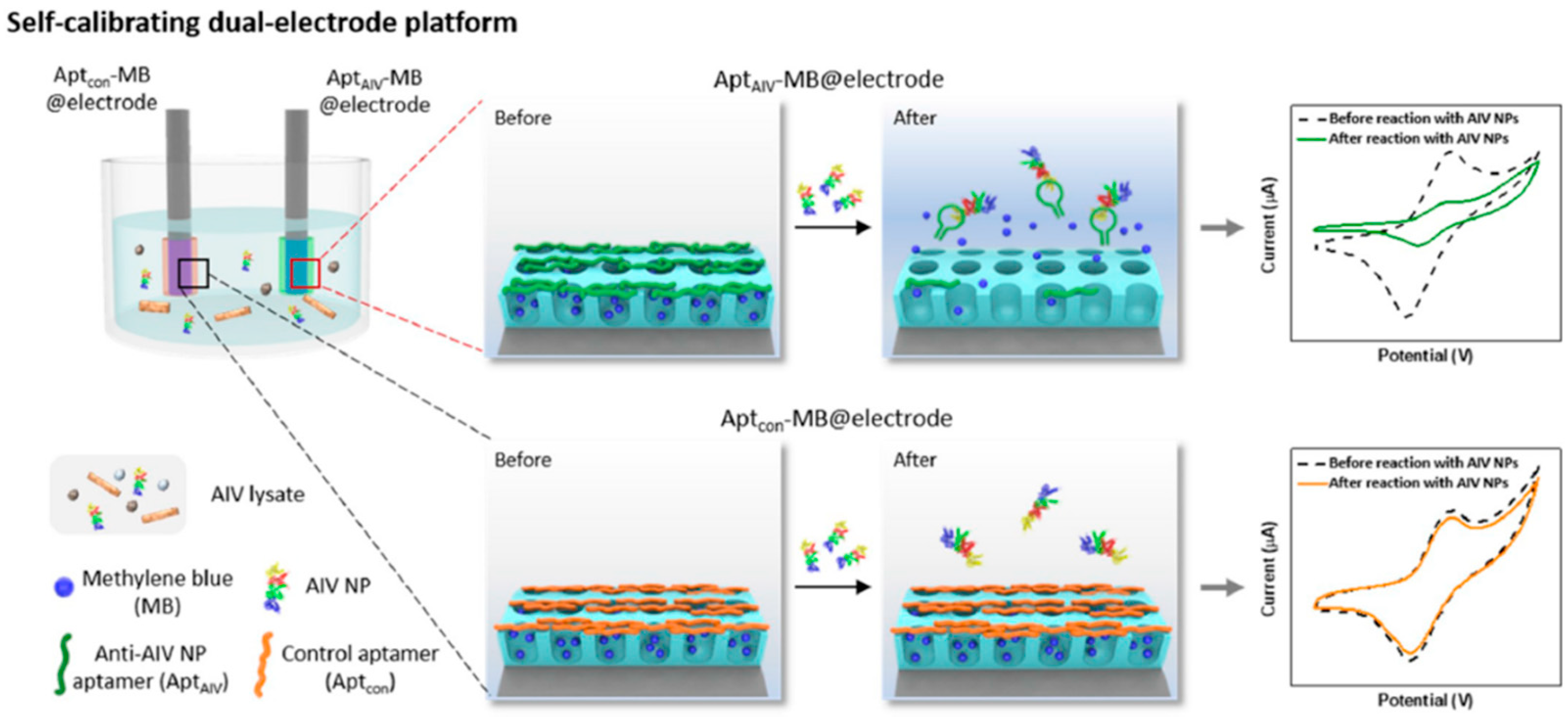 Sensors 20 05125 g013