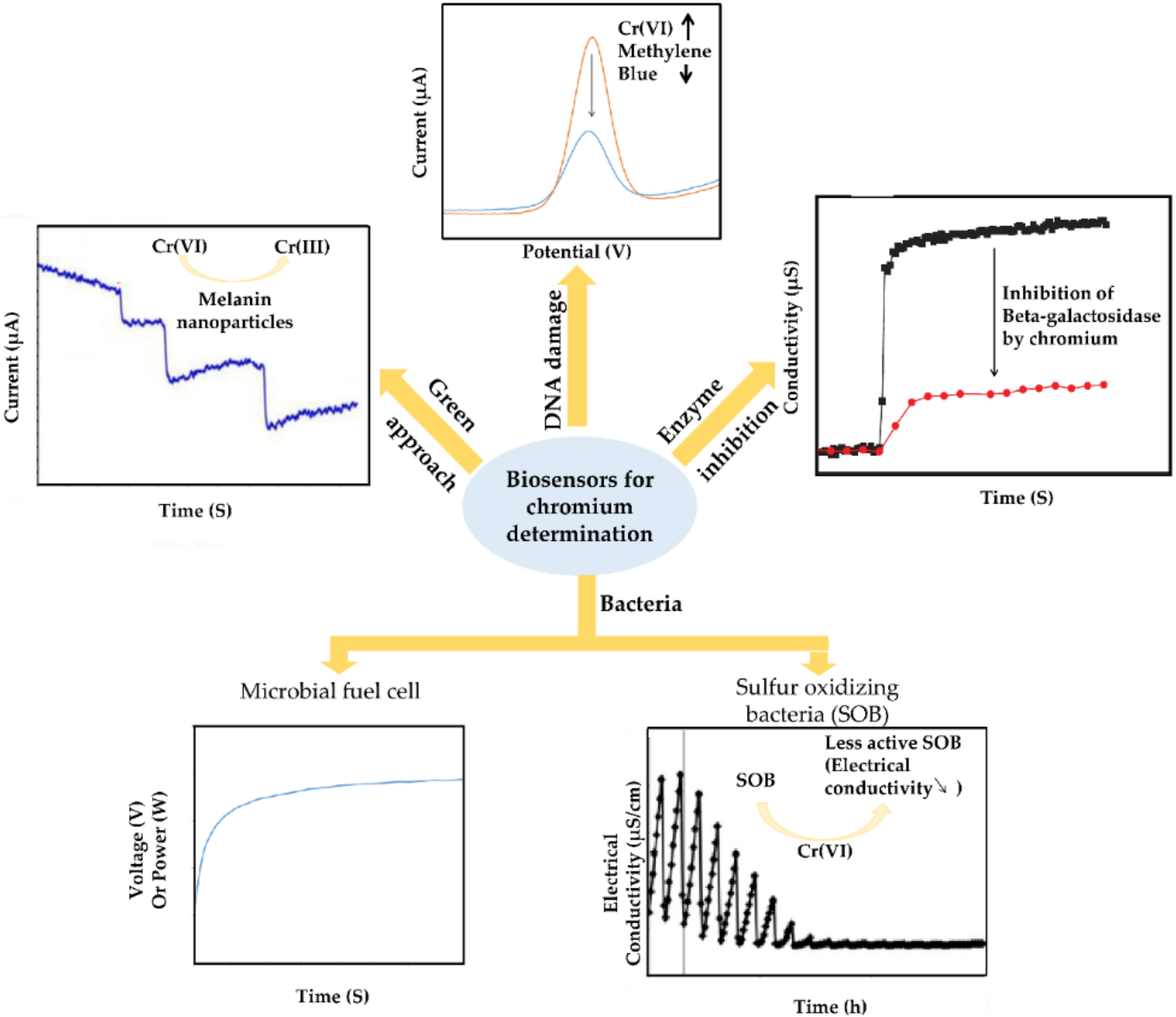 Sensors 20 05153 g004