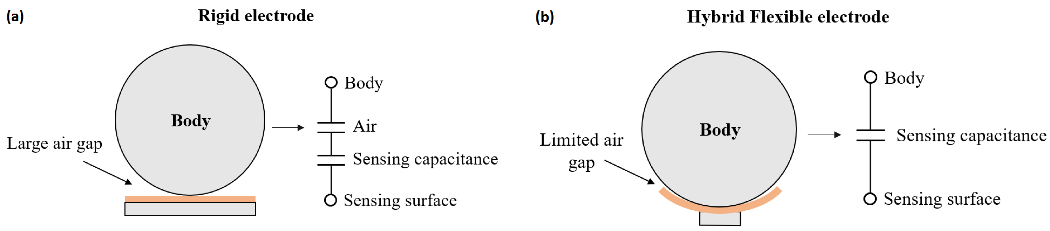 Sensors 20 05156 g003