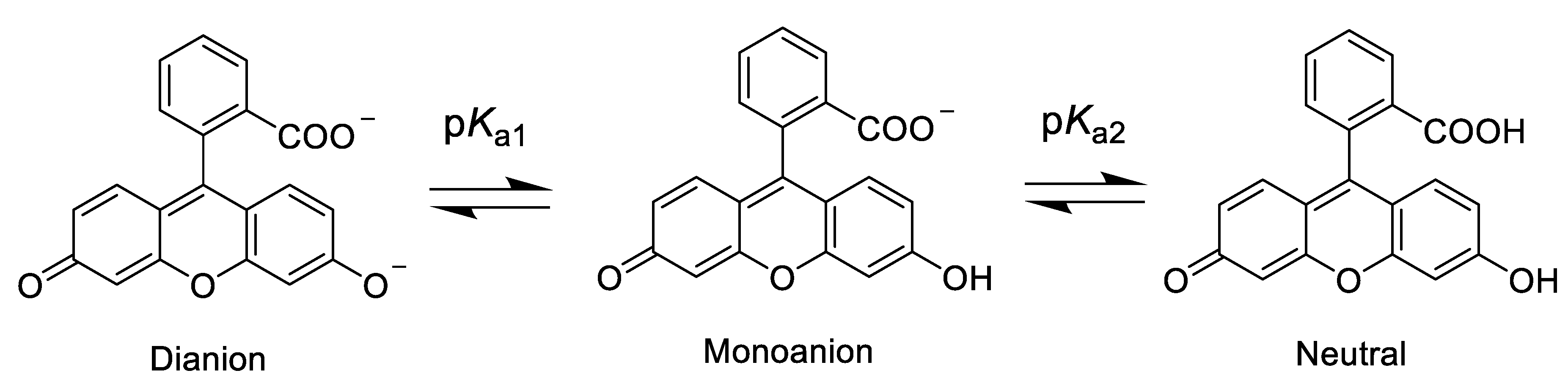 Sensors 20 05172 g001
