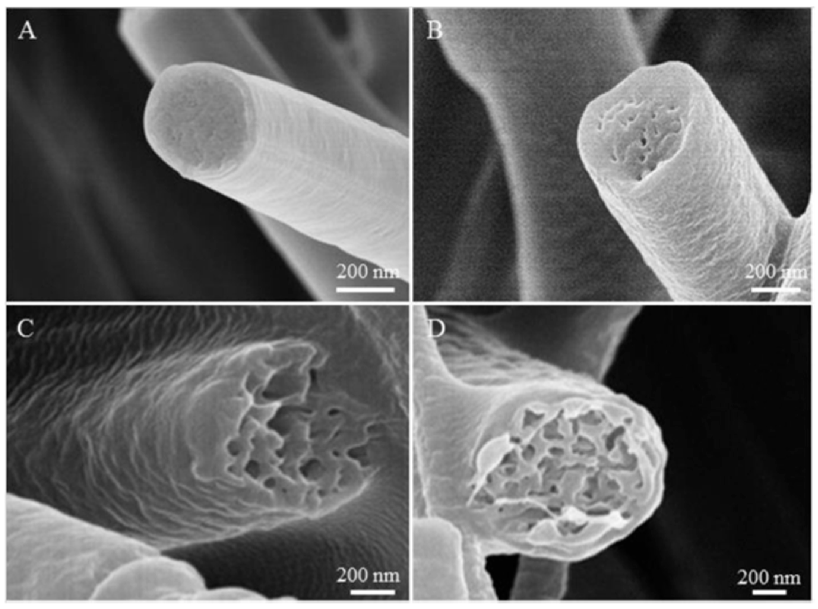 Sensors 20 05214 g009